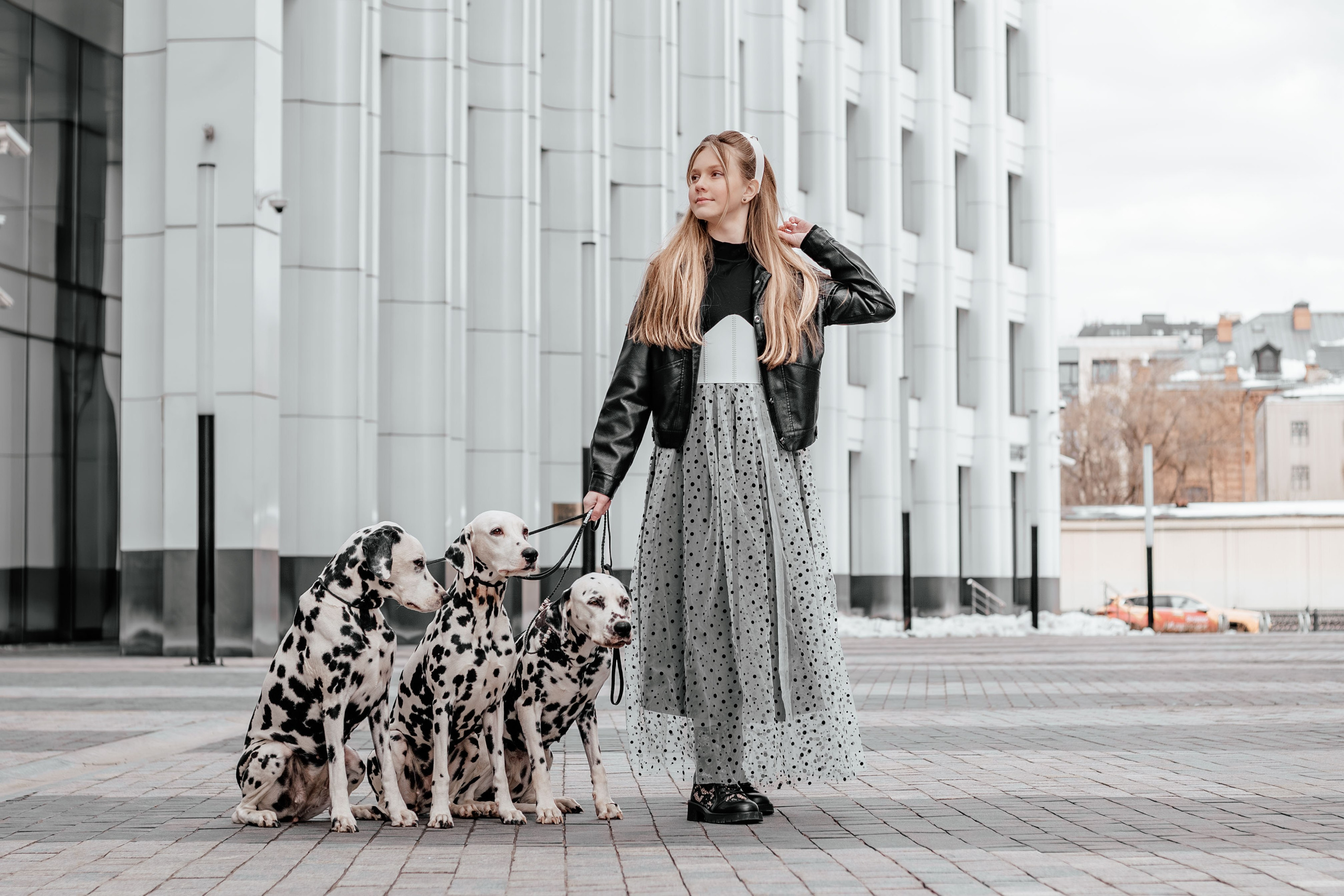 Альбомы стилизованных фотосессий и съёмки с животными. Семейный и свадебный фотограф в Москве и Домодедово Анна Авилочкина