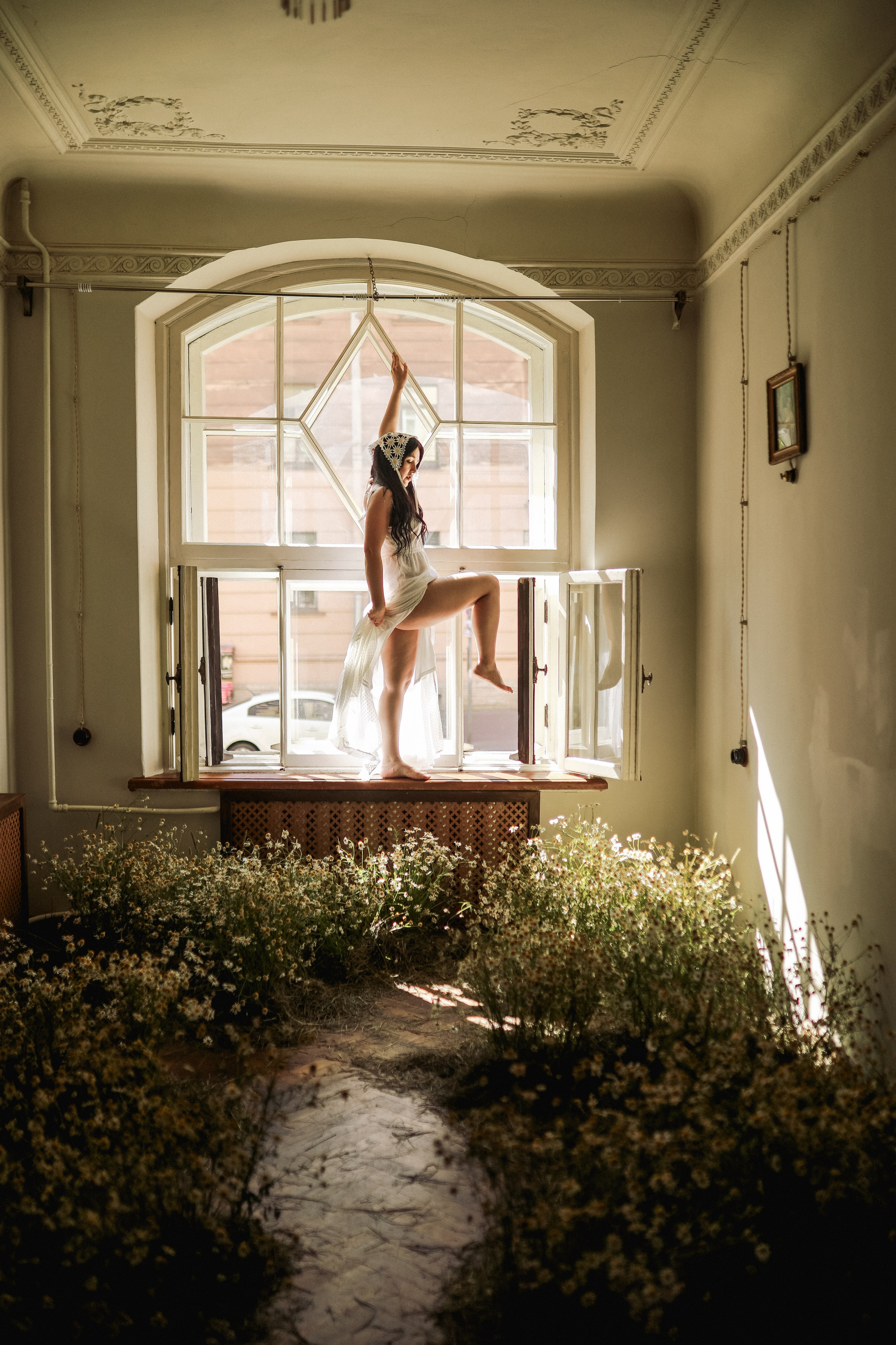 Сон в летнюю ночь | Ромашковое поле