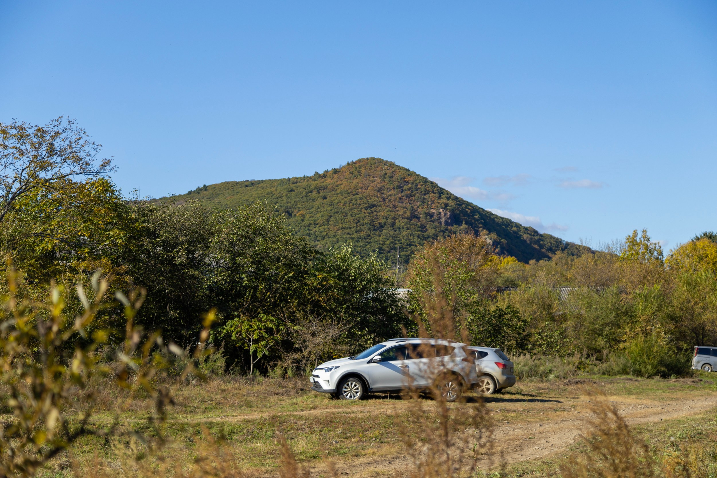 Фестиваль «Большой пикник», репортаж для ASAP Speedcubing. Репортажный и портретный фотограф в Владивостоке