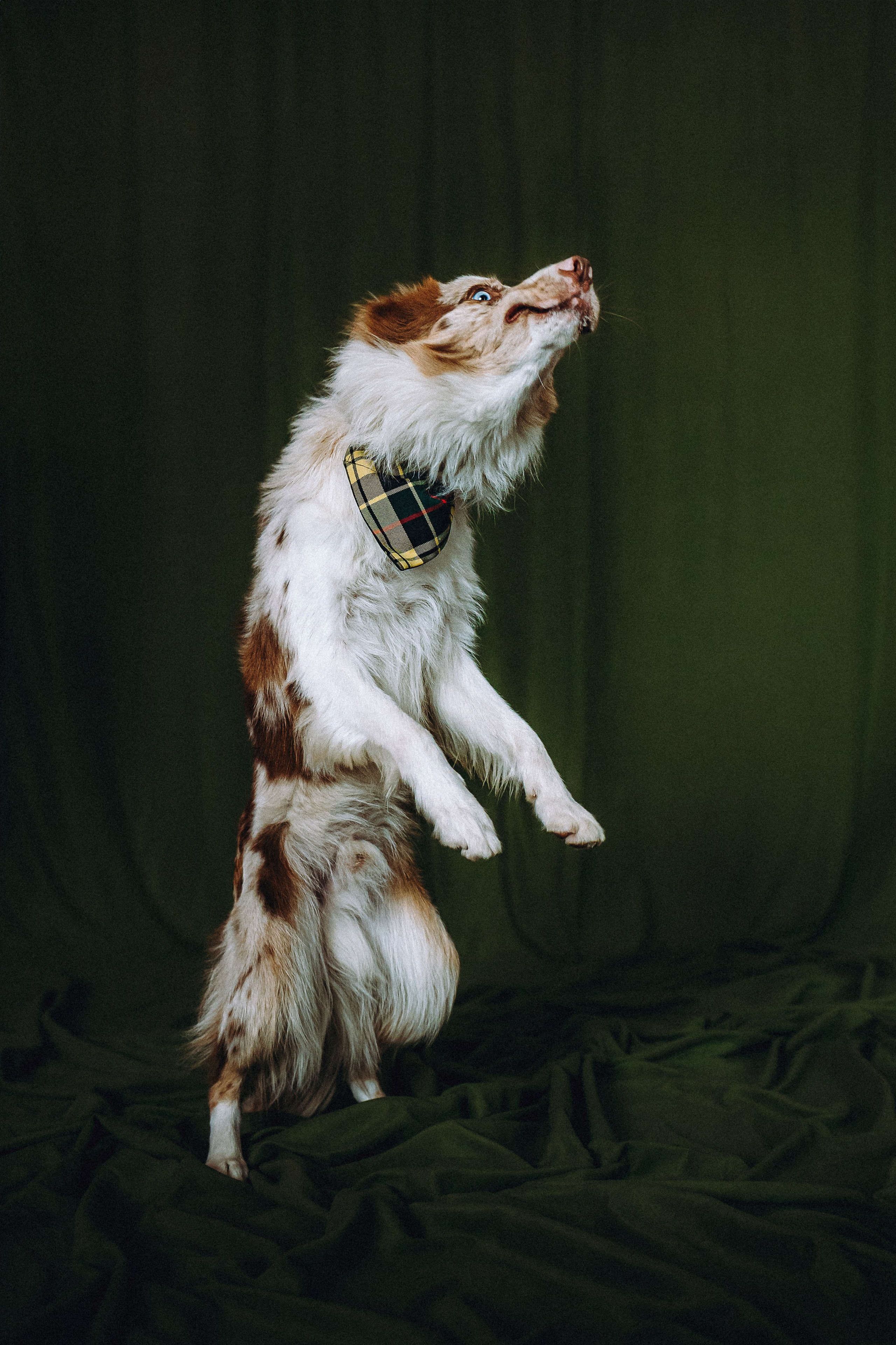 День рождения Айко