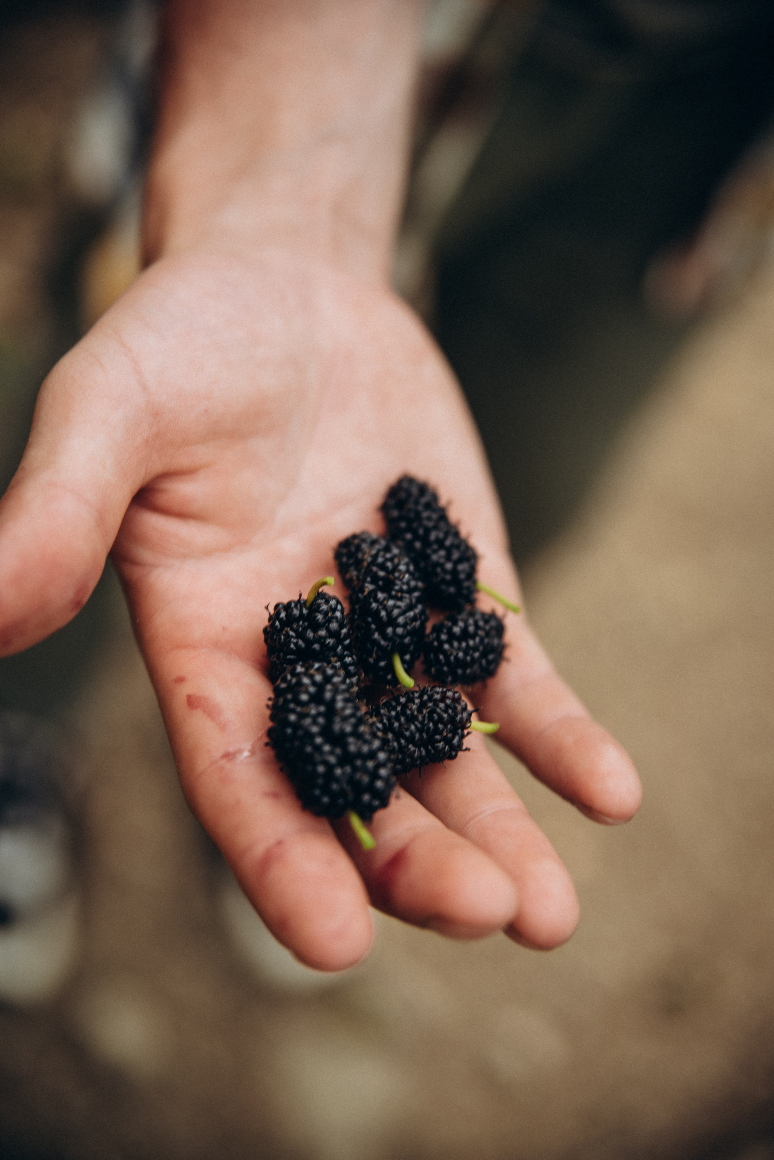 Коджори, Грузия 🇬🇪 «Honey Trip». Anita_photo