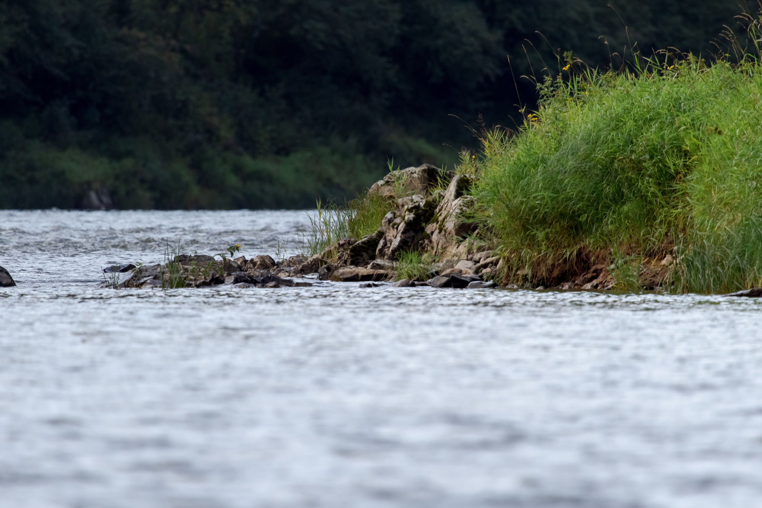 Фототур Кия. Фотограф Кирилл Мешков Кемерово
