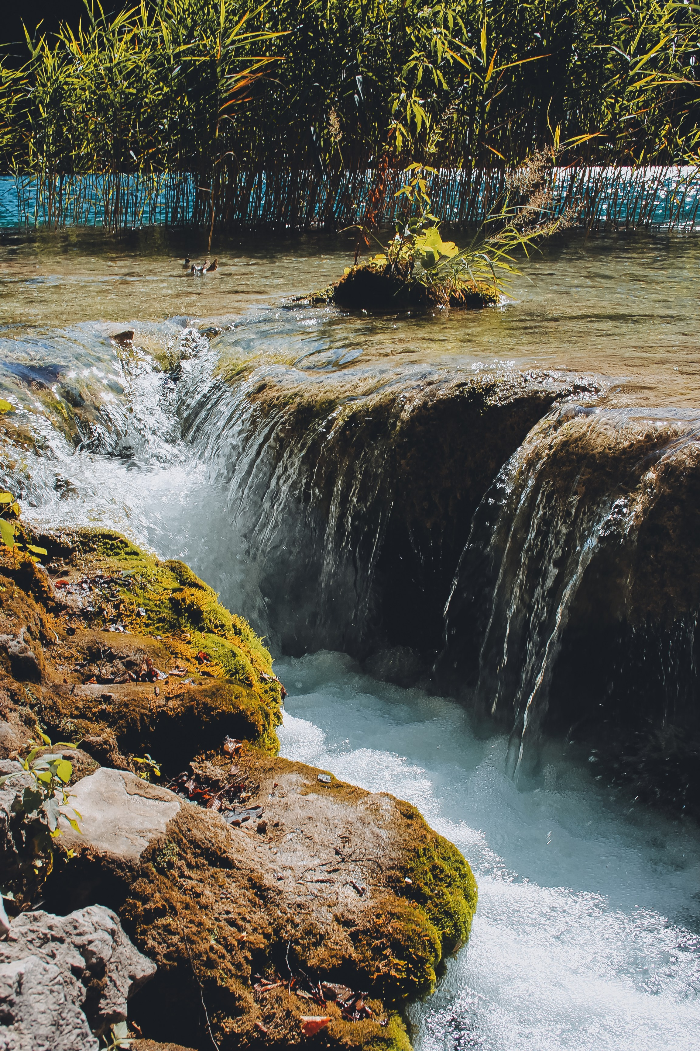 Хорватия: Плитвицкие озера. Дарья Письменюк / Darya Leitstern — фотограф, музыкант, журналист, путешественник