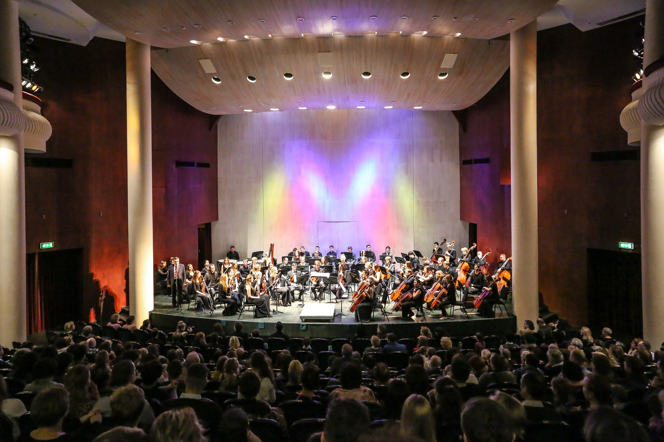 Концерт в Доме музыки к Международному дню борьбы с эпилепсией. Дарья Письменюк / Darya Leitstern — фотограф, музыкант, журналист, путешественник