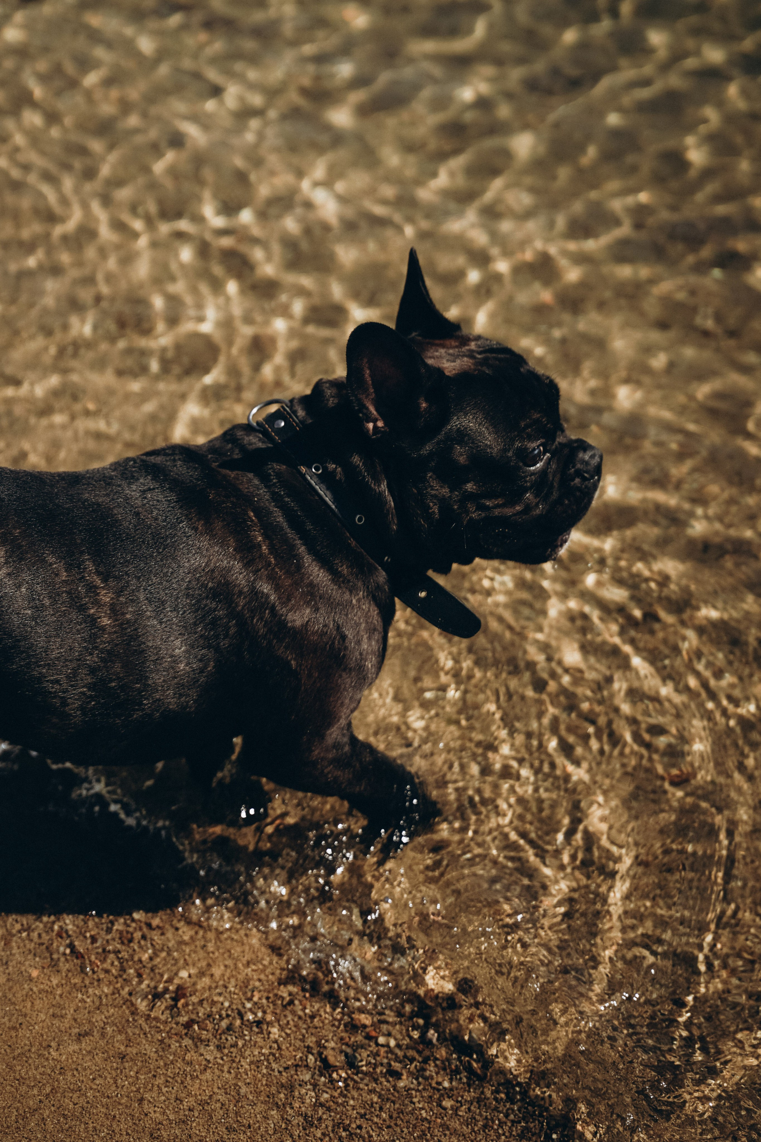 Лера и Даня: в ожидании. Фотограф в Иркутске