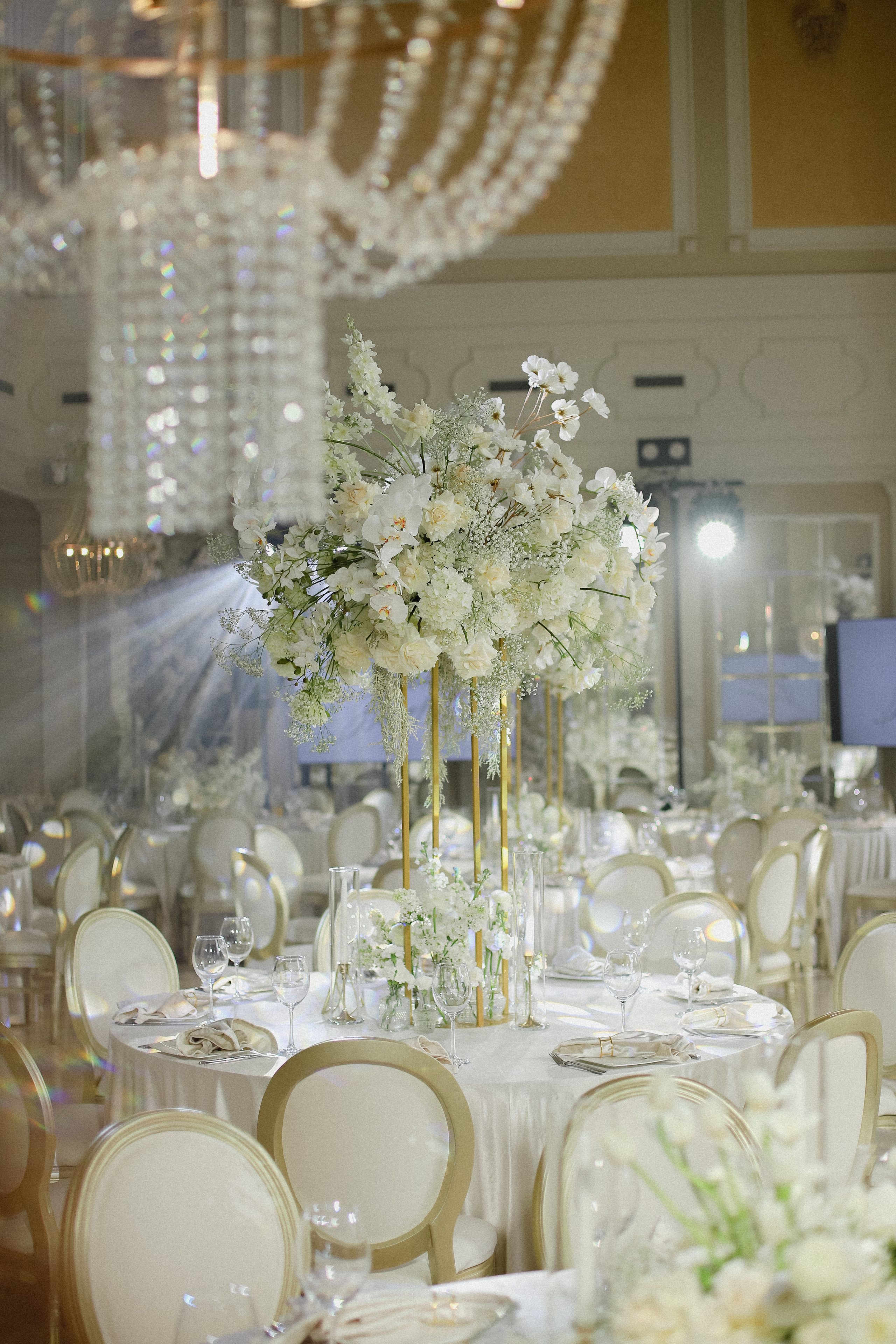 Иван и Валерия. Фотограф в Алматы и Москве Даша Пушкина