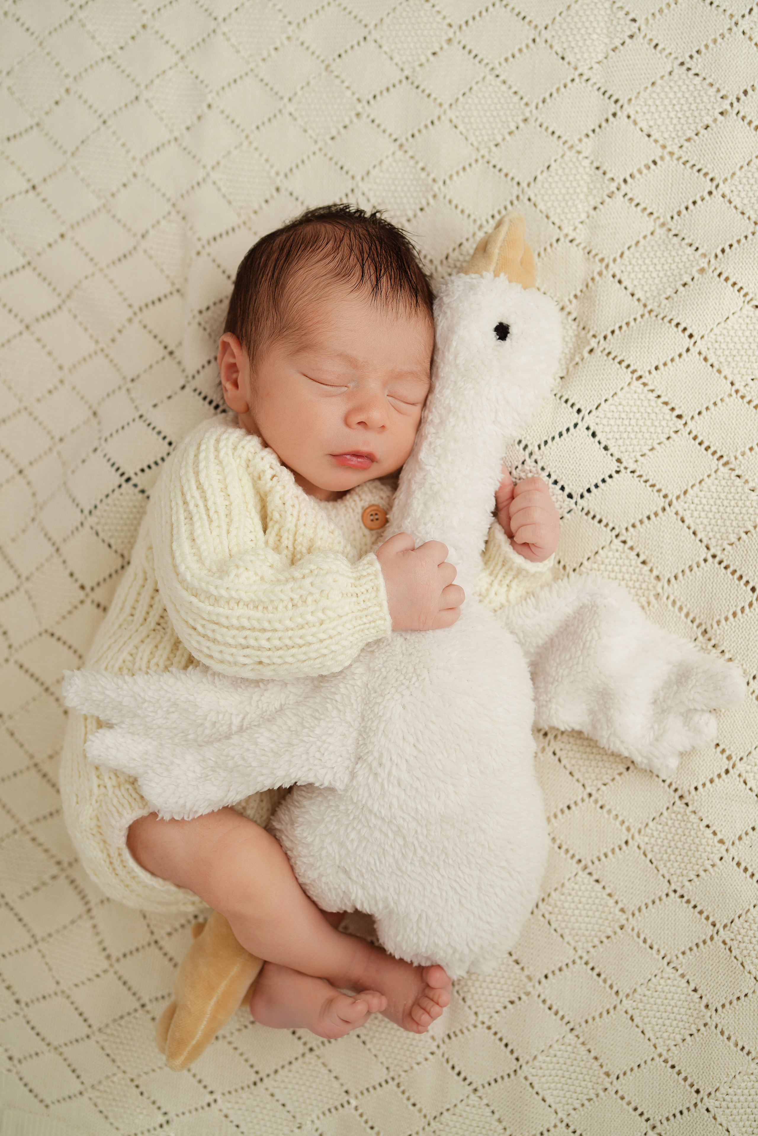 Детская фотосессия новорожденных мальчиков. Детский фотограф и фотограф новорожденных в Калининград Оксана Иваний