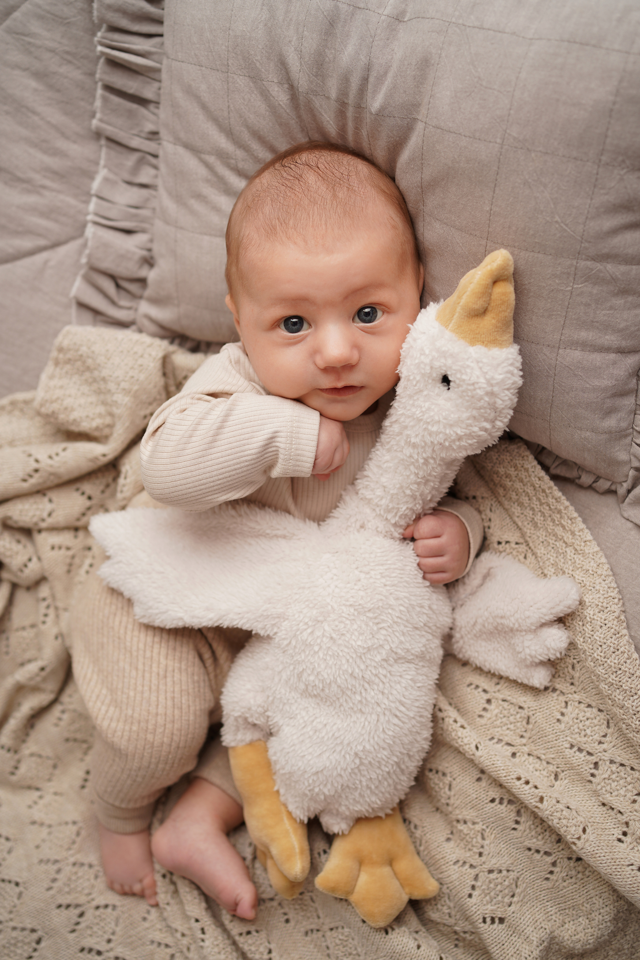 Детская фотосессия новорожденных мальчиков. Детский фотограф и фотограф новорожденных в Калининград Оксана Иваний