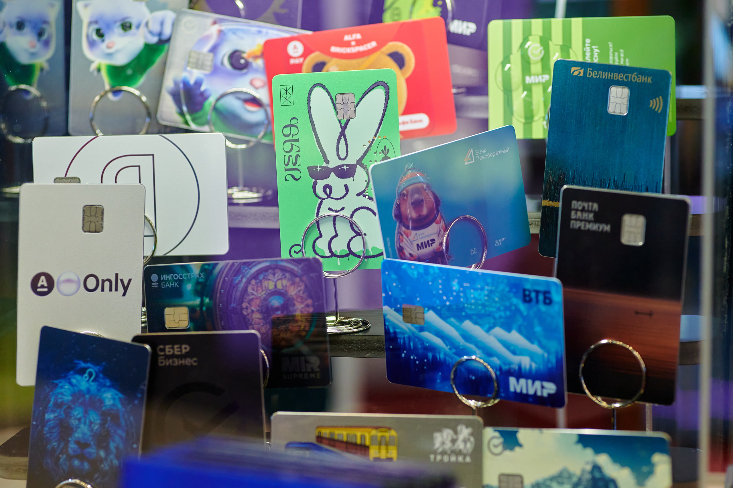 Выставки. Solofilms