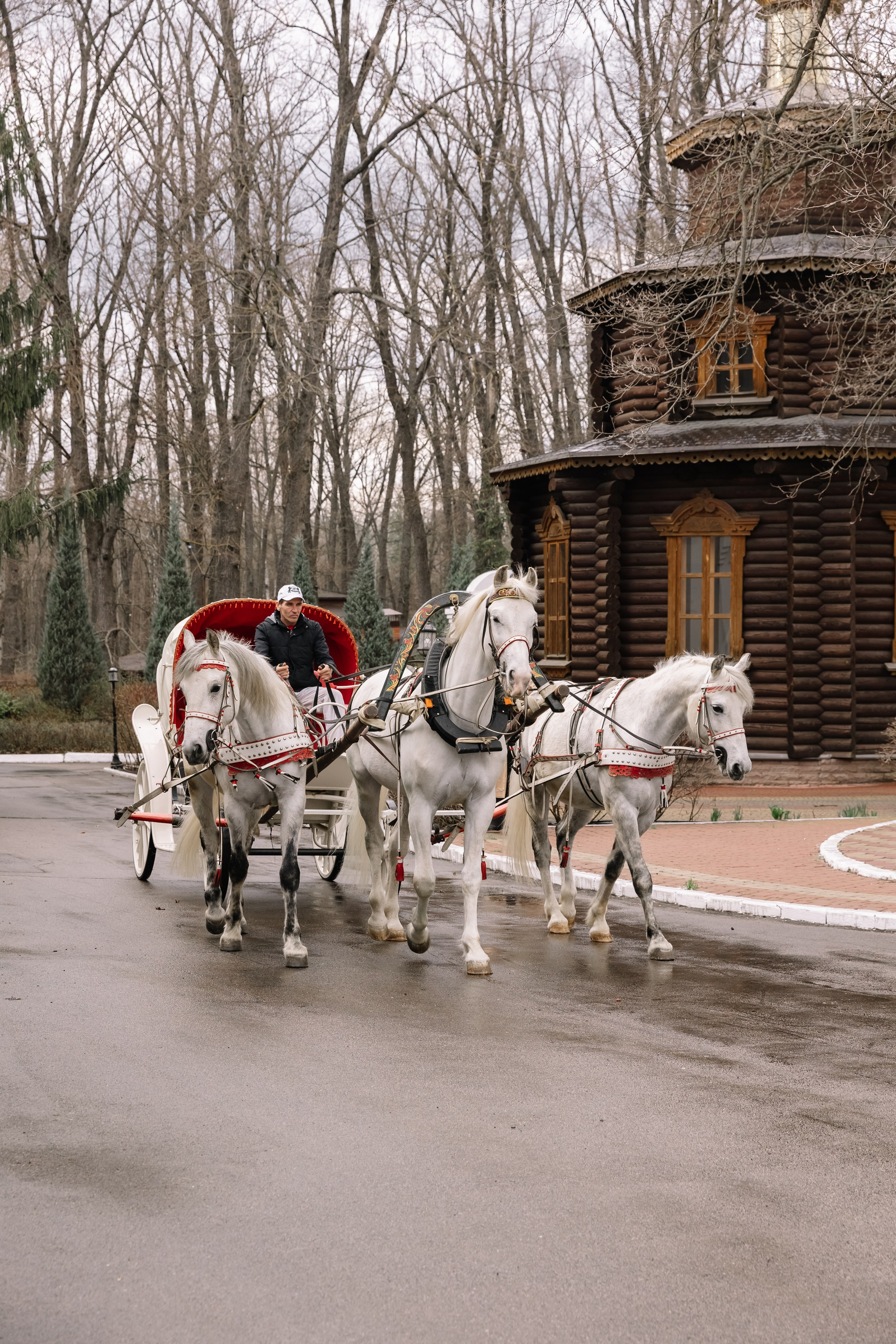 День Орловского рысака. Парк-отель Яр. Свадебный, репортажный фотограф Ирина Шкурина