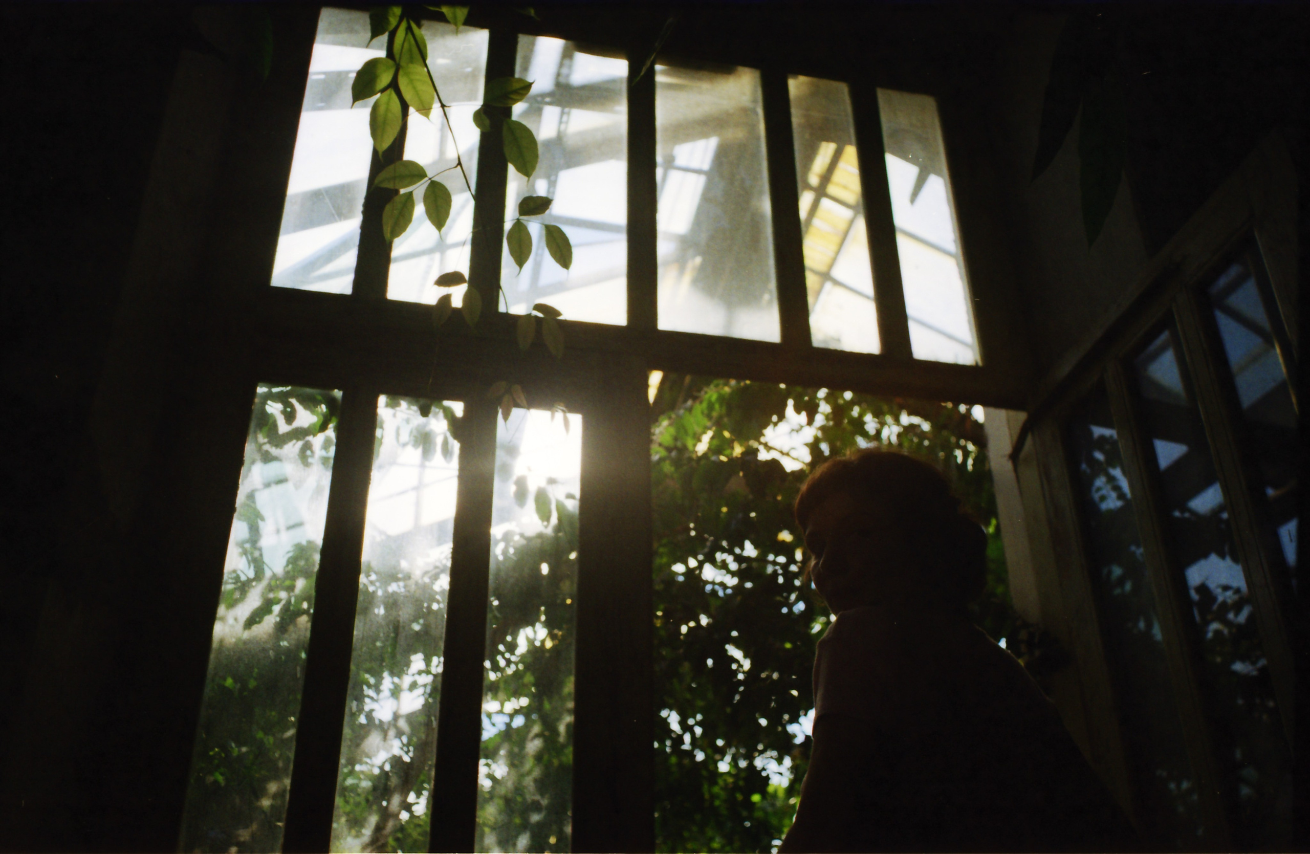 Spaces and faces 2013-∞. Наталья Рутова