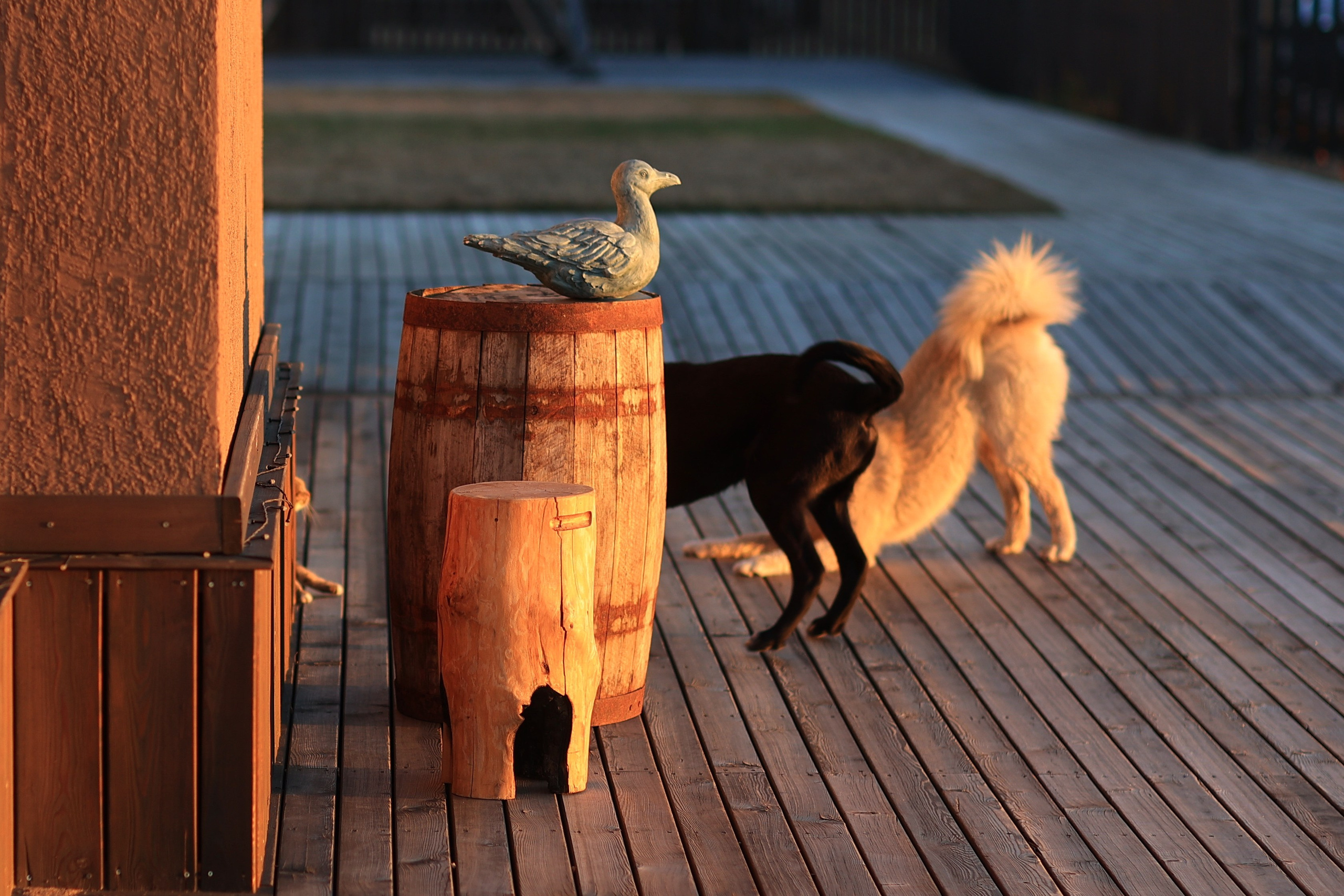 2023. Тащилин Сергей. Фотографии. Жизнь. Хобби