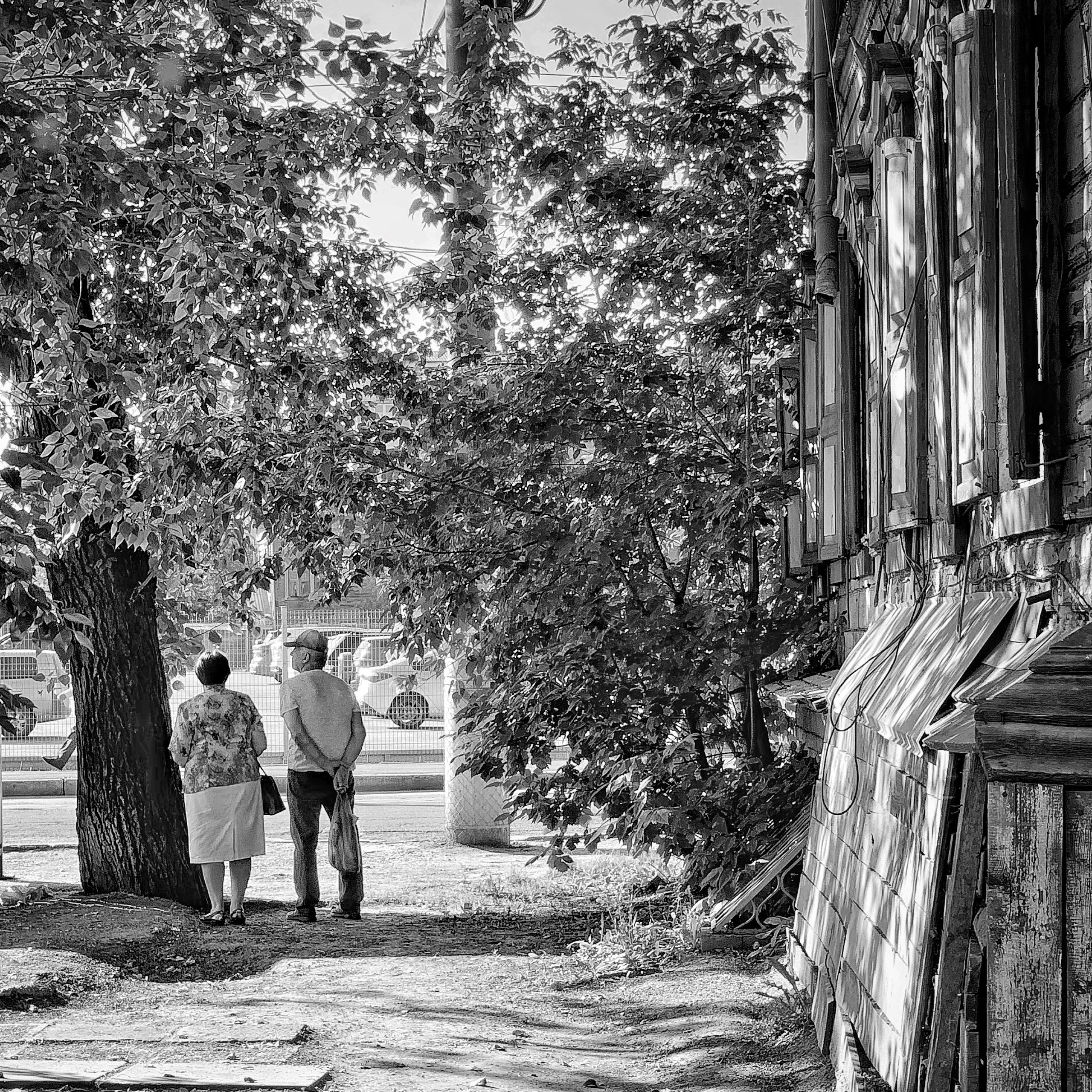 2019 год. Тащилин Сергей. Фотографии. Жизнь. Хобби