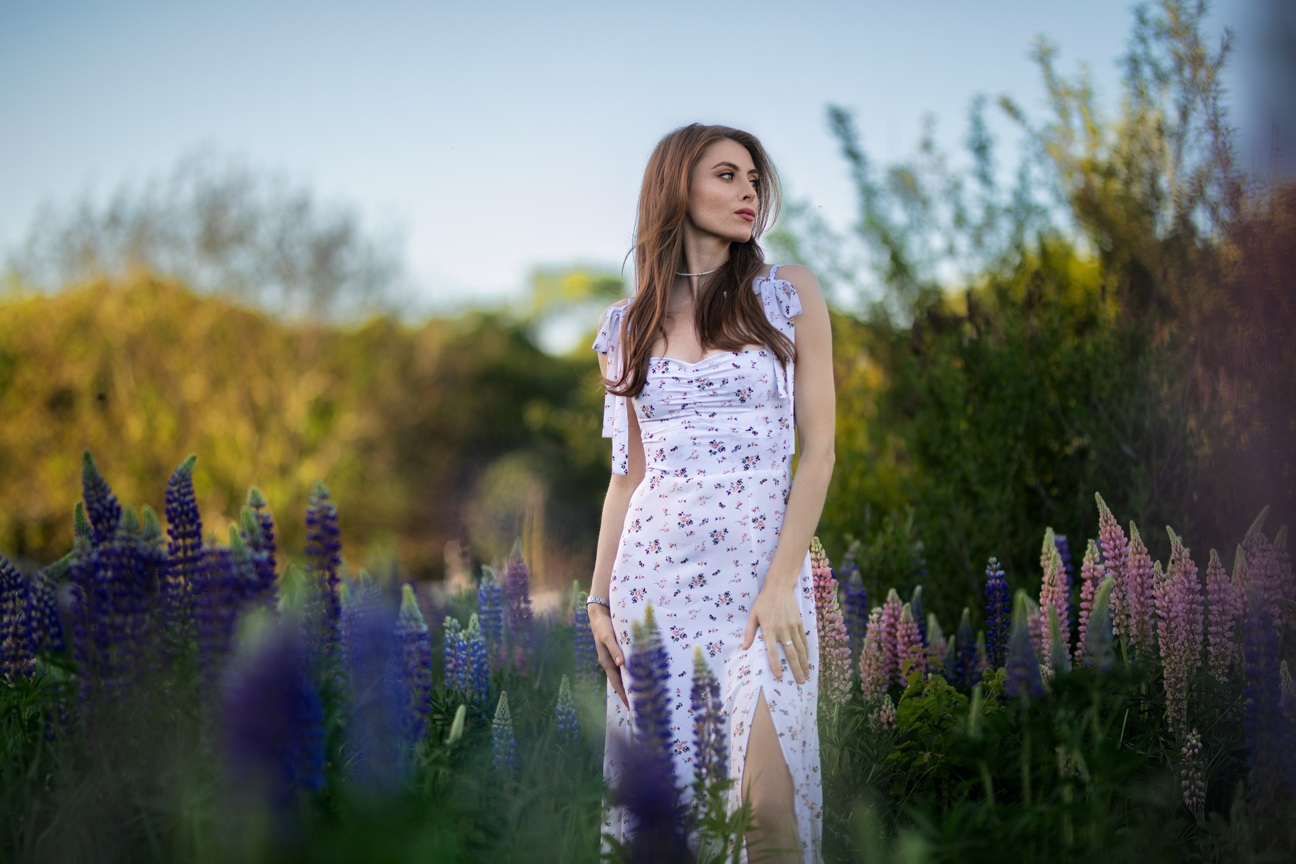 Фотосессия с Надеждой с люпинами в формате «для себя». Дмитрий Шульгин, портретный фотограф в Воронеже