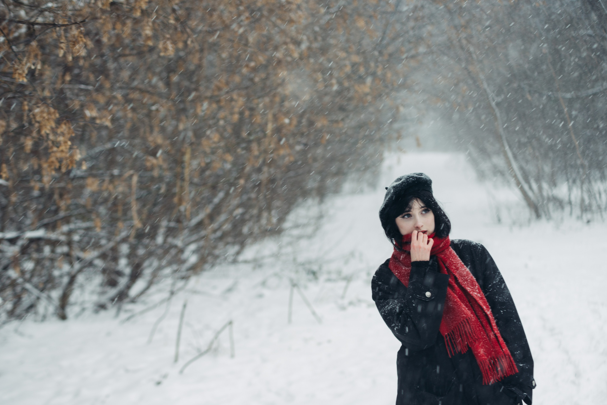 Снег и Красный. Главная