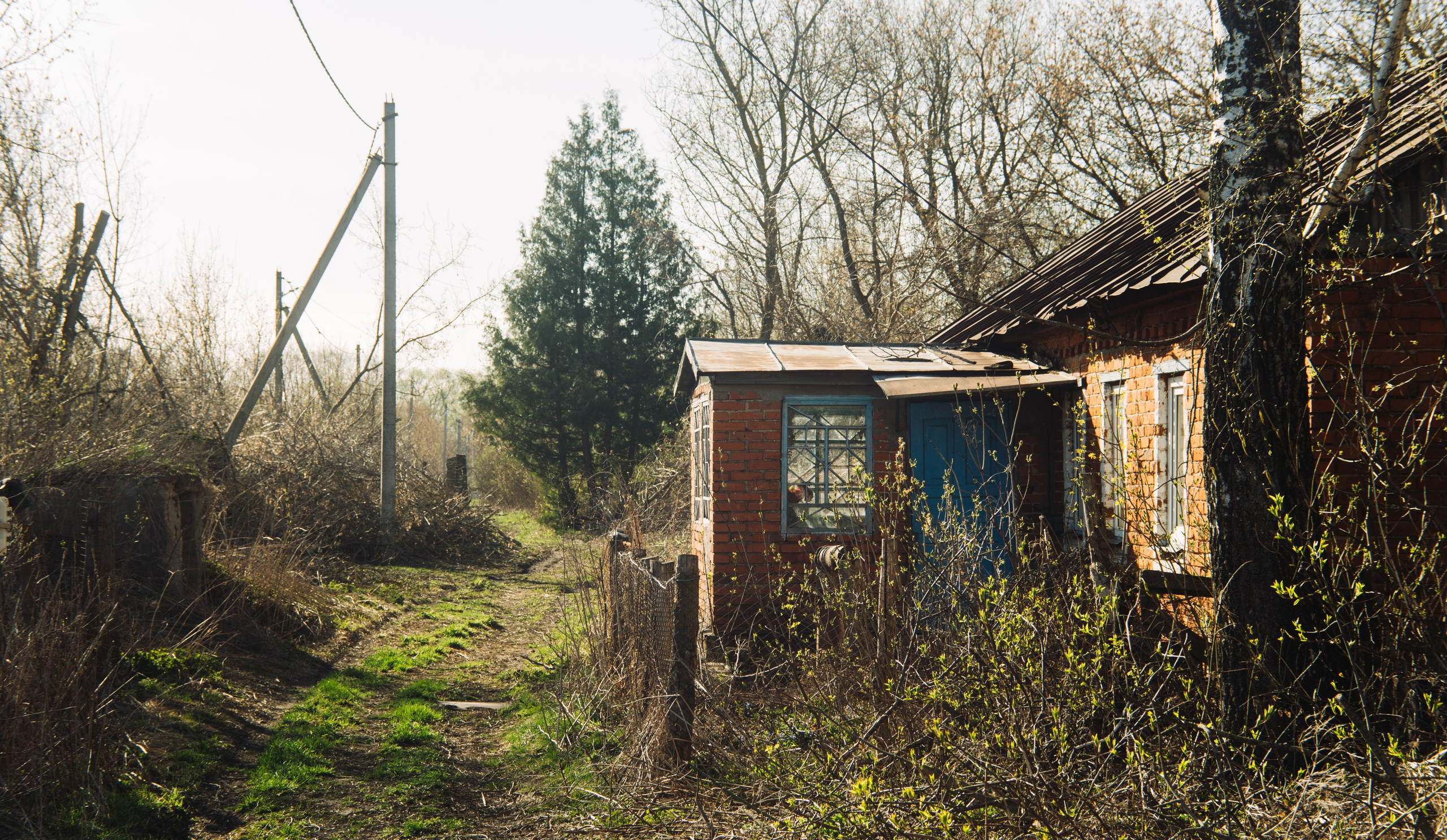Орановка. Репортажный и портретный фотограф в Липецкой, Воронежской, Московской области Тёма Белоусов