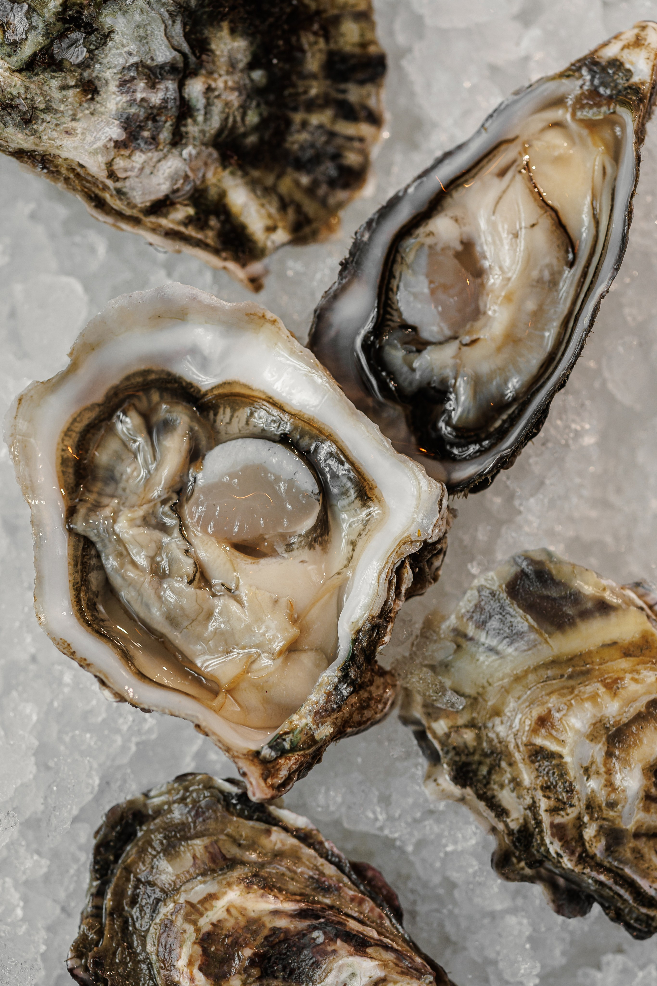 «SI». Фото и видео контент за одну съемку — Веретенников Егор