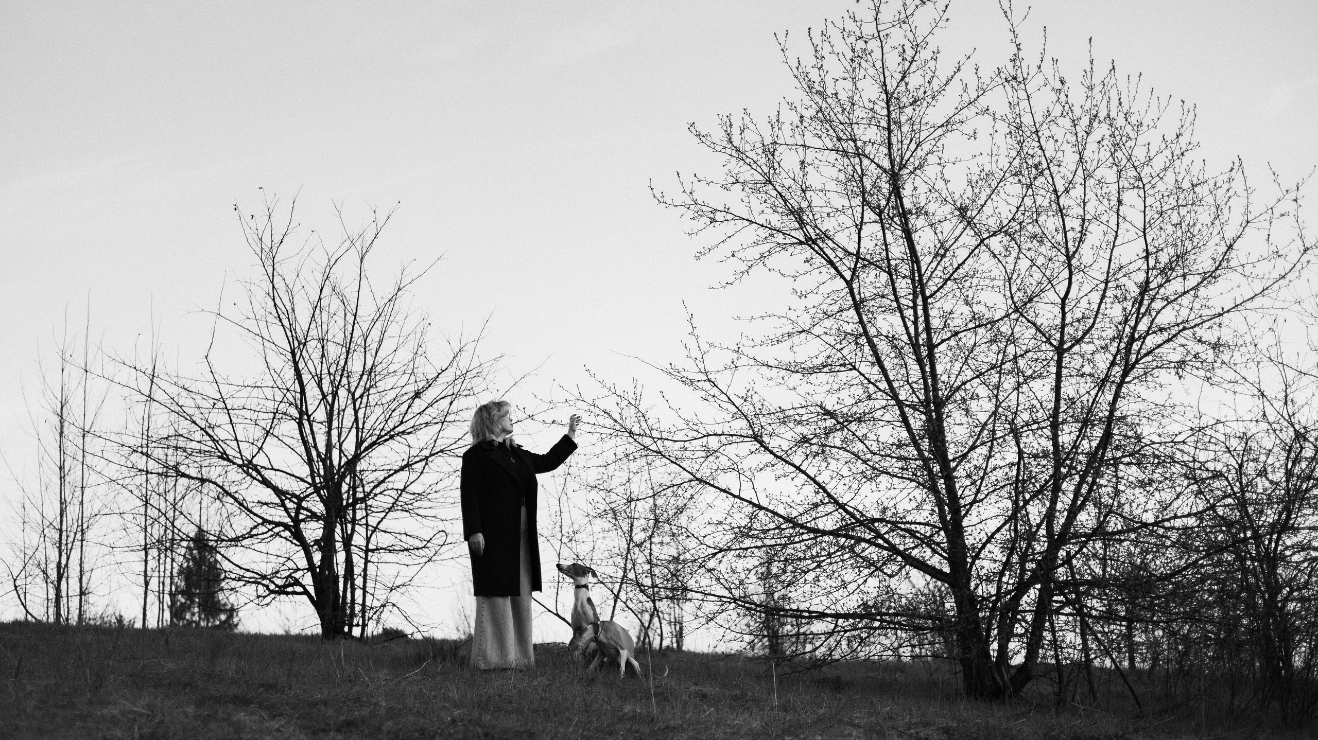Вика, Джем и Белла. Фотограф-анималист Богданова Полина