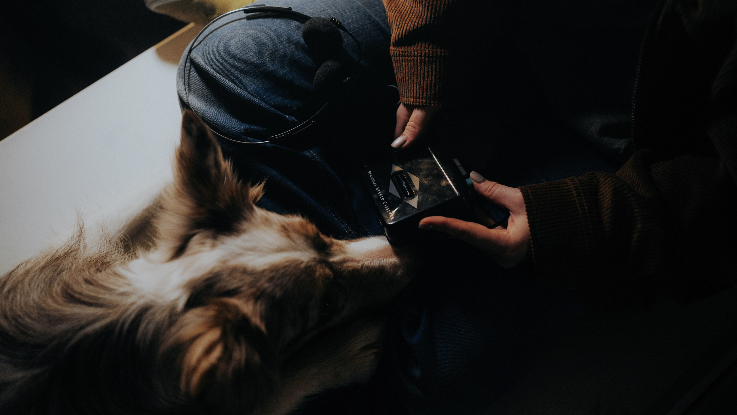 Аня и Дэймон. Фотограф-анималист Богданова Полина