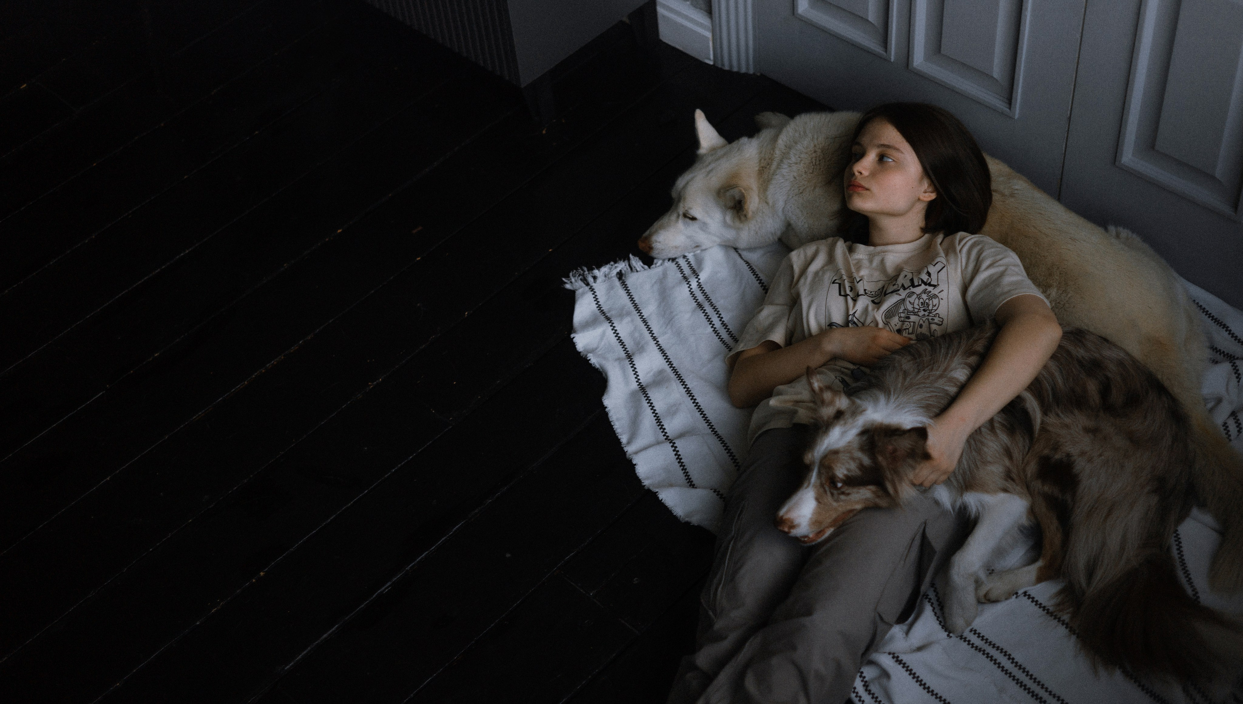 Аня, Дэймон и Грэй. Фотограф-анималист Богданова Полина