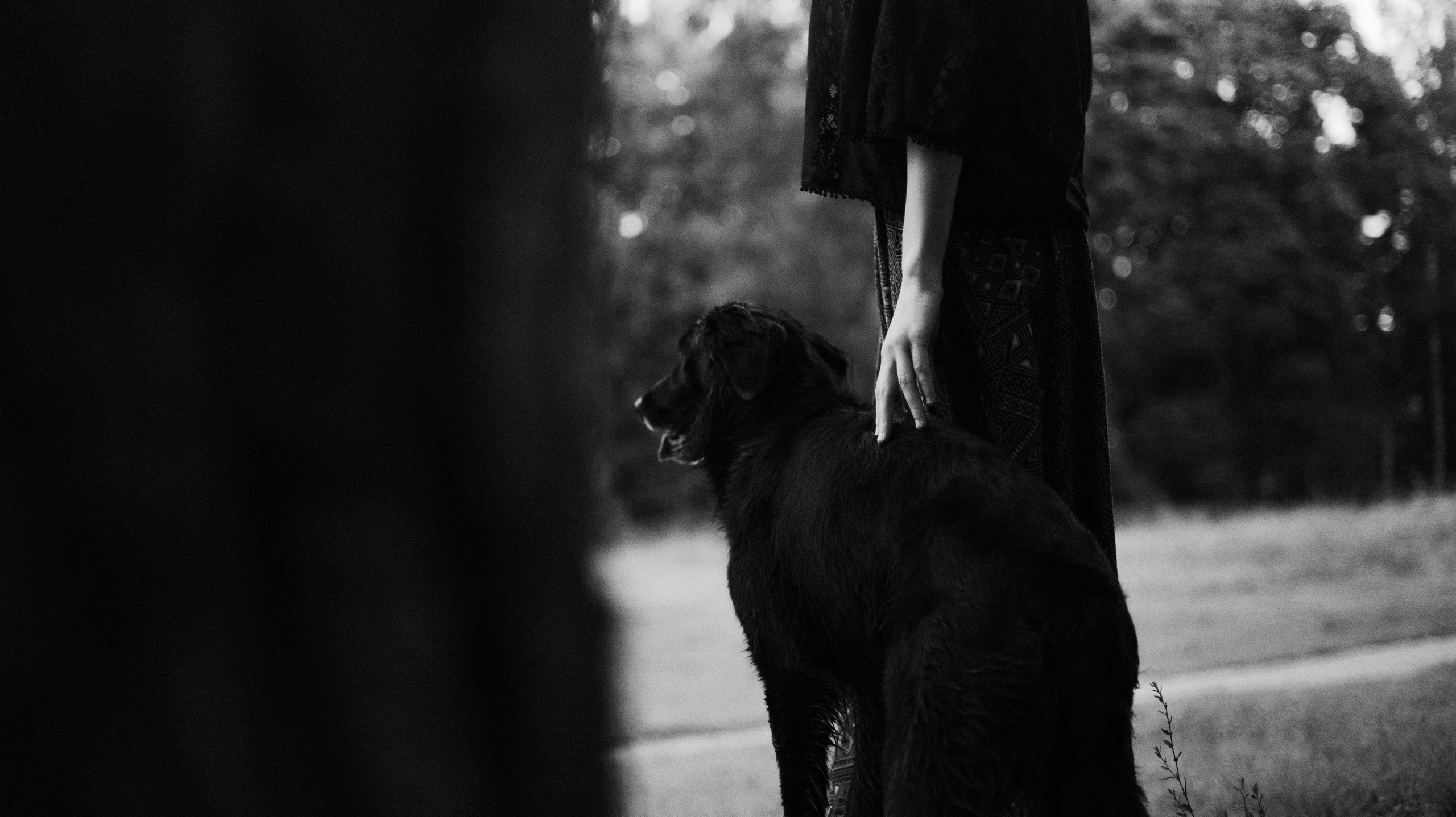 Лиза и Коди. Фотограф-анималист Богданова Полина