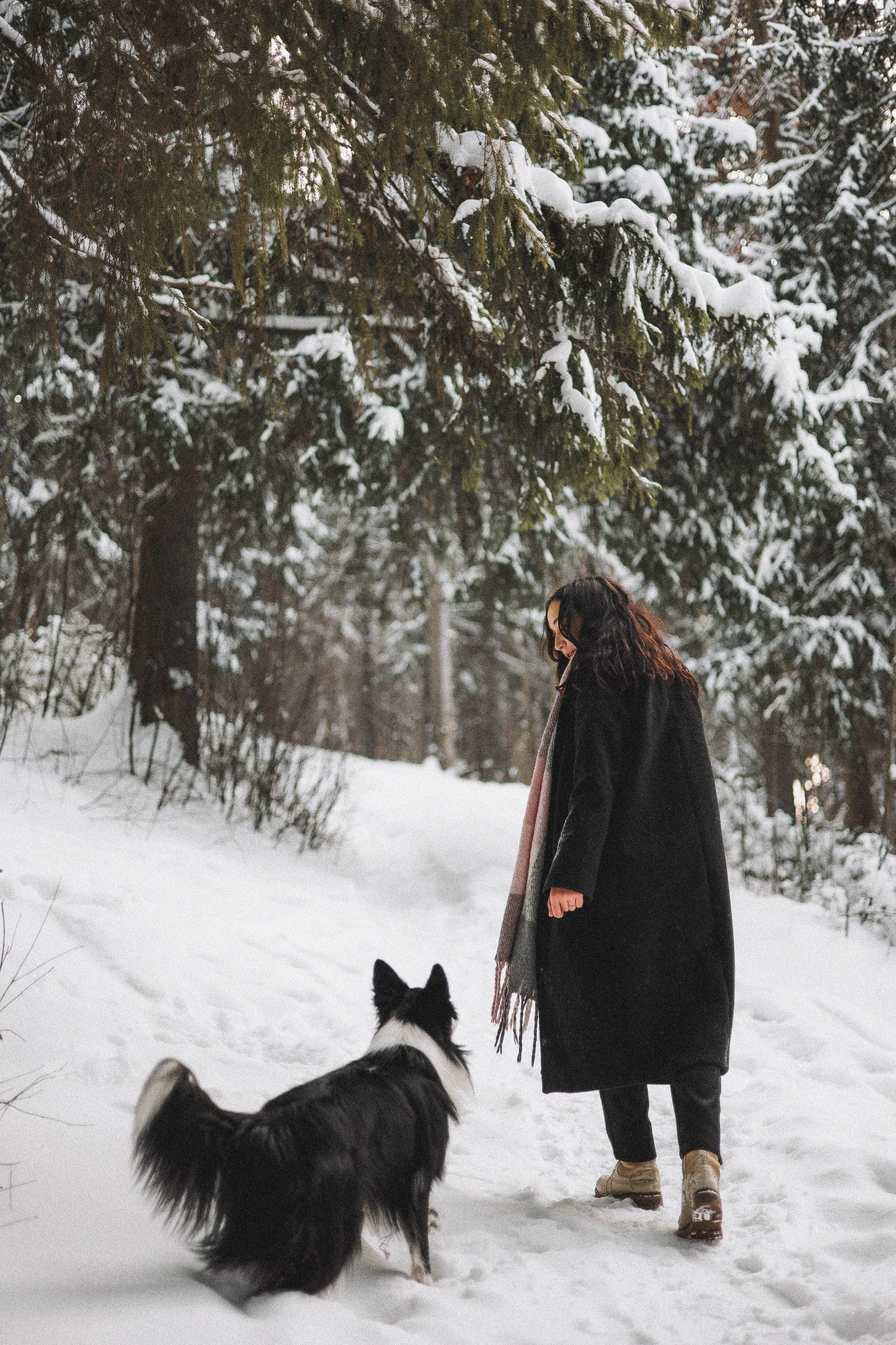 Алина и Найт. Фотограф-анималист Богданова Полина