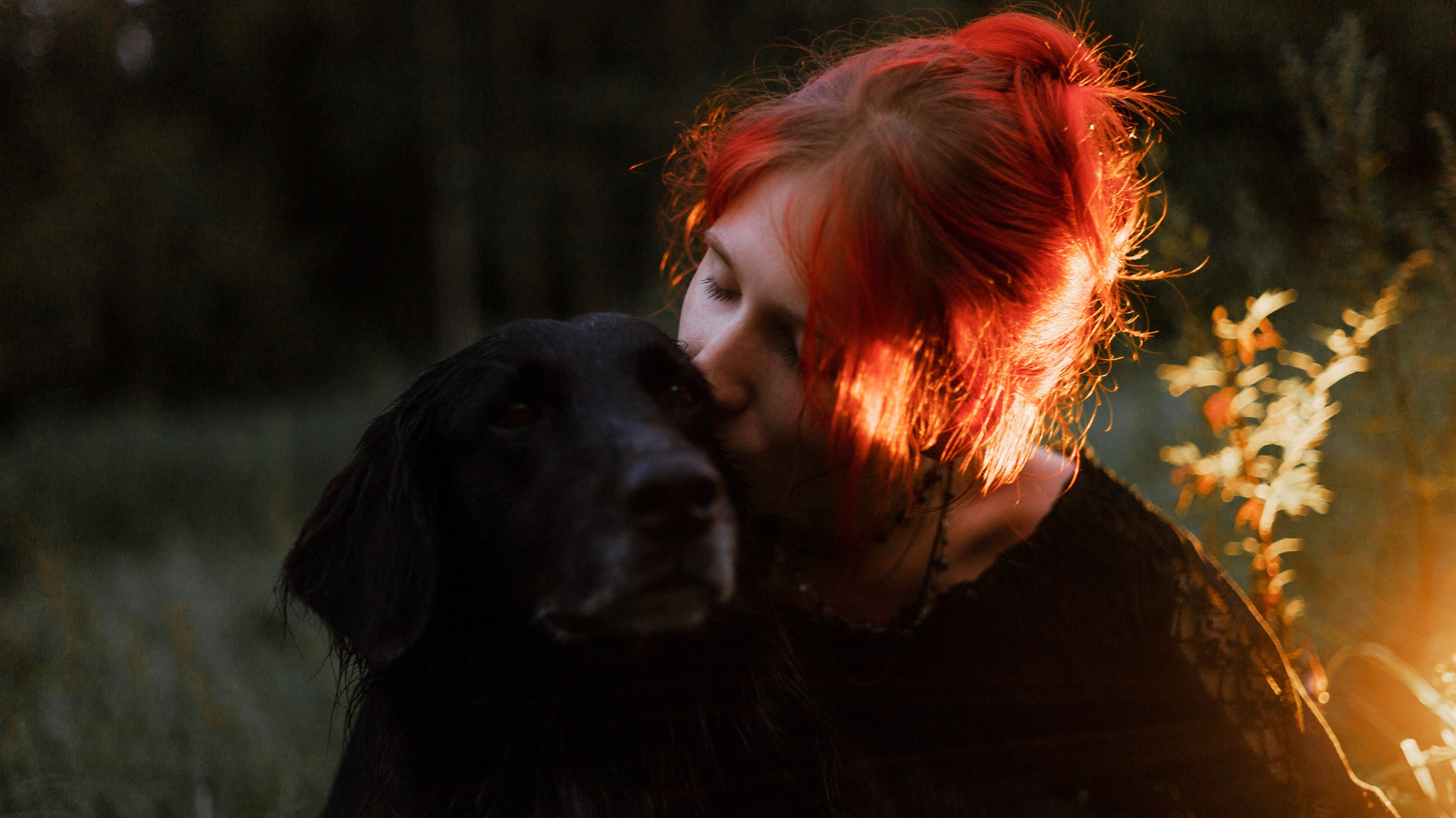 Лиза и Коди. Фотограф-анималист Богданова Полина