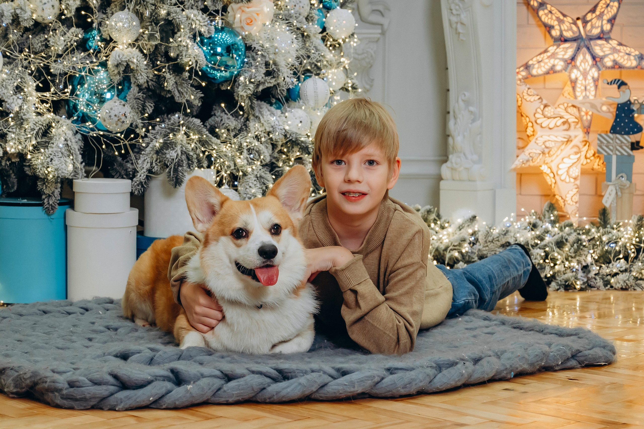 Новый год с корги
