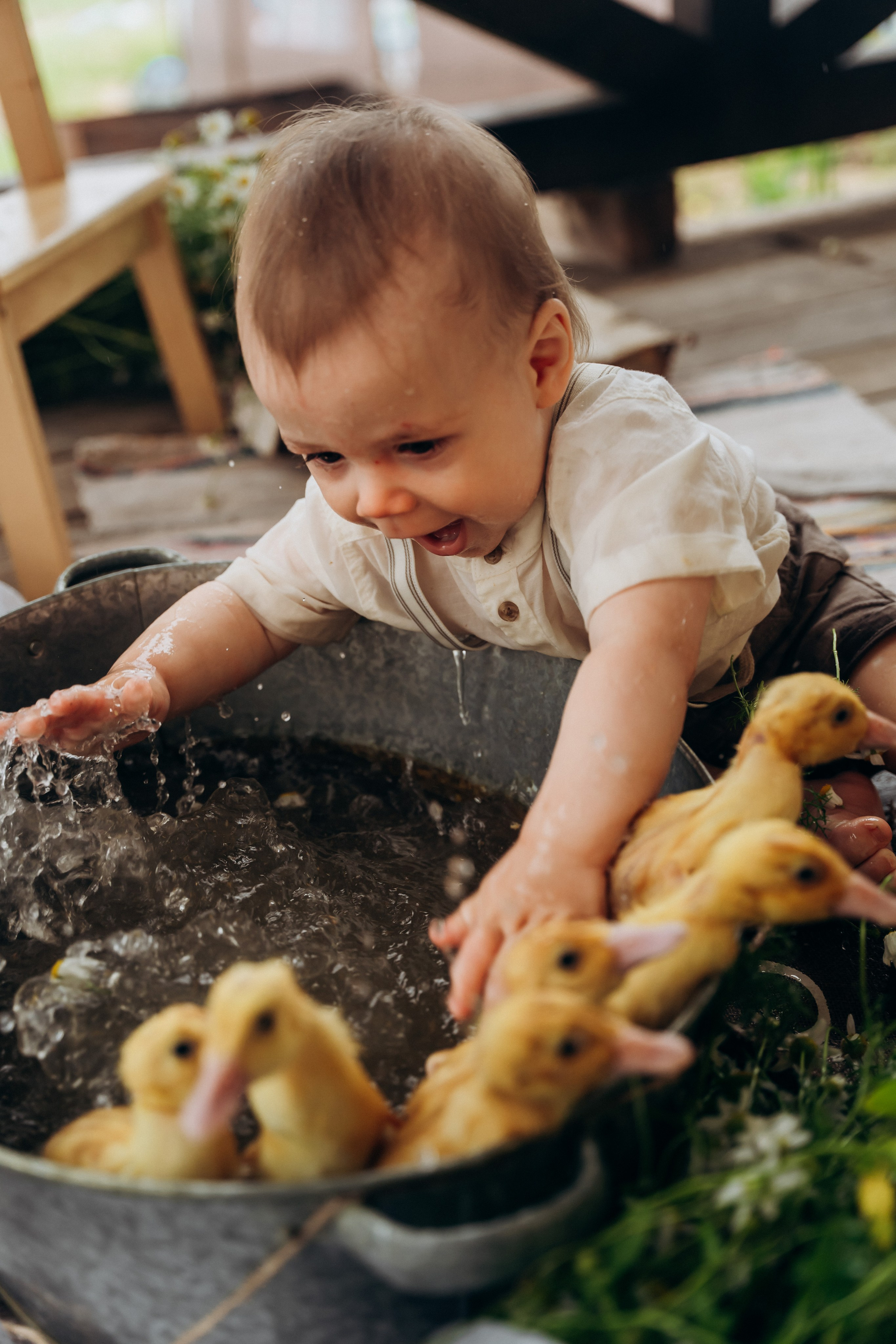 Утята. Главная