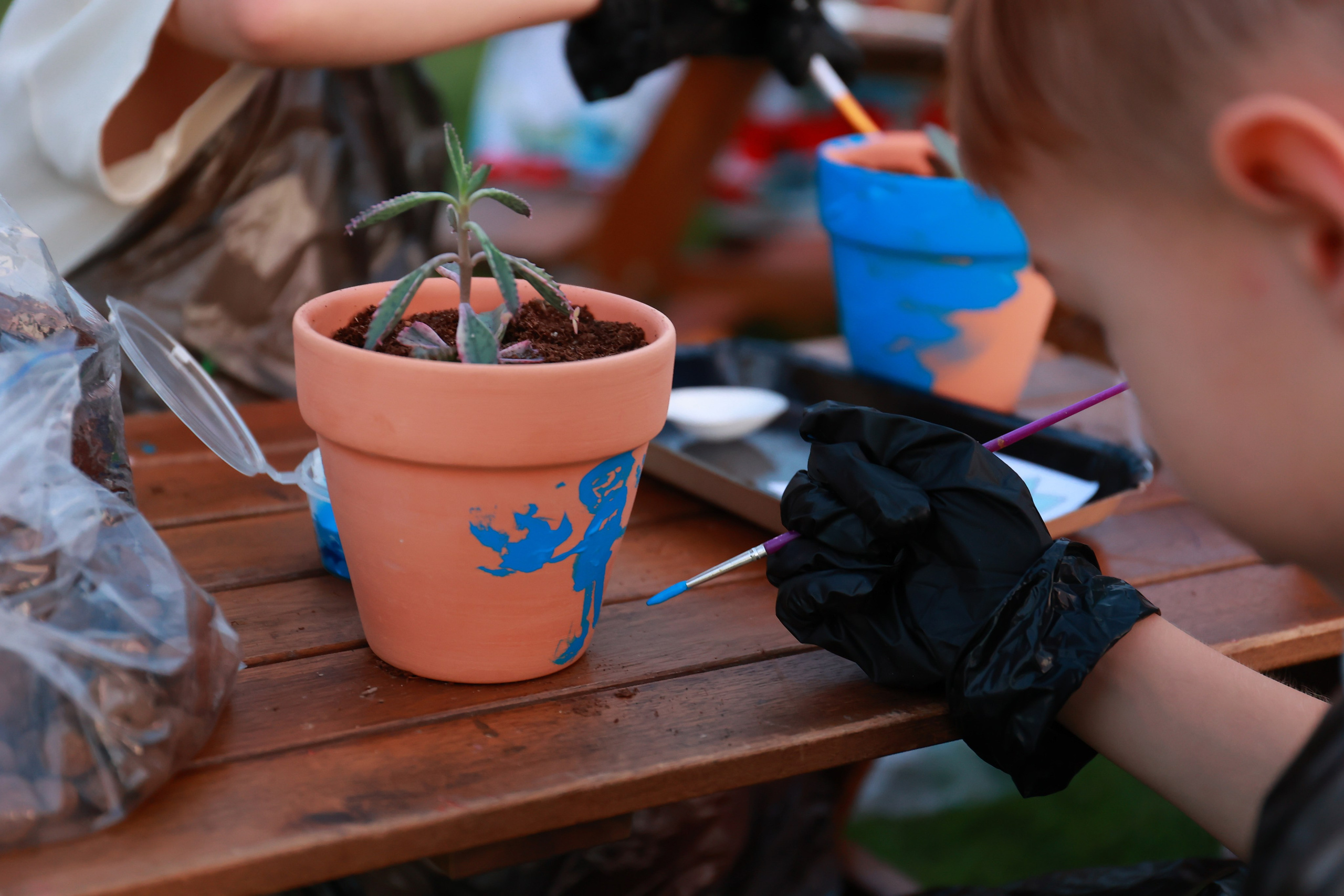 Зомби против растений. Детский семейный фотограф Краснодар
