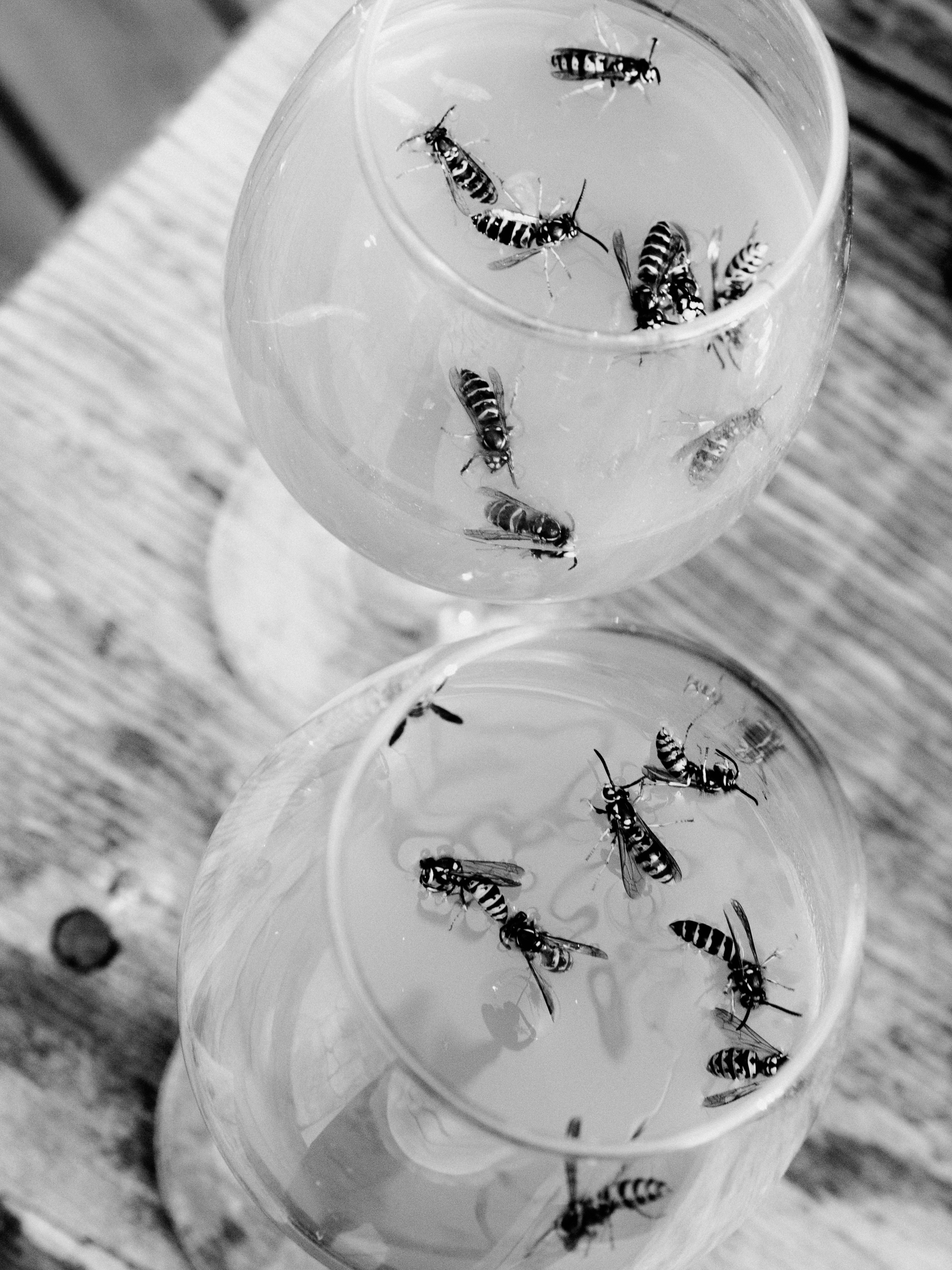 Даша и Андрей. Свадебный фотограф Кирилл Пархоменко. Фотосессия свадебная