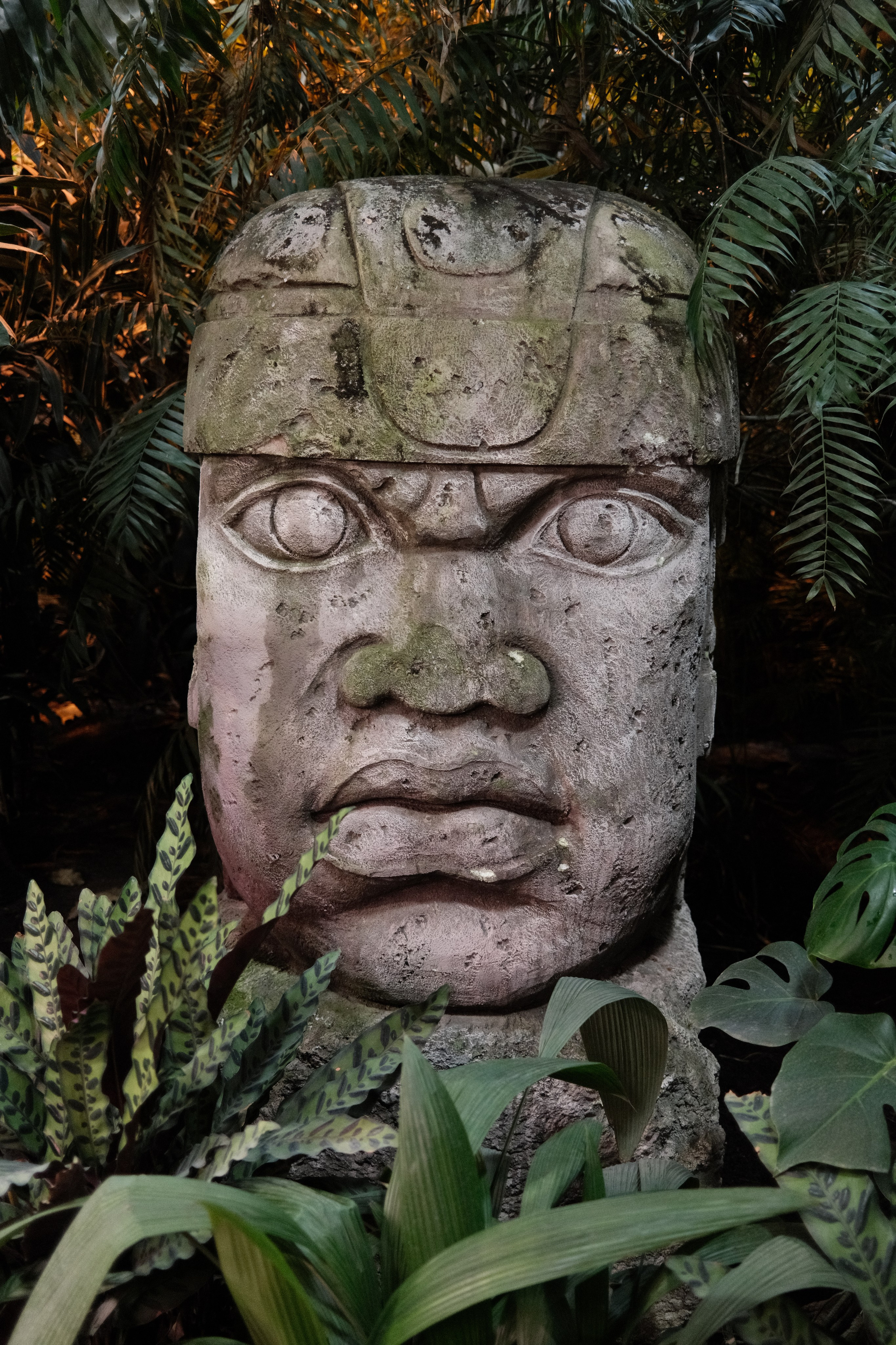 Аптекарский огород. Профессиональный фотограф в Москве Захар Ишутин