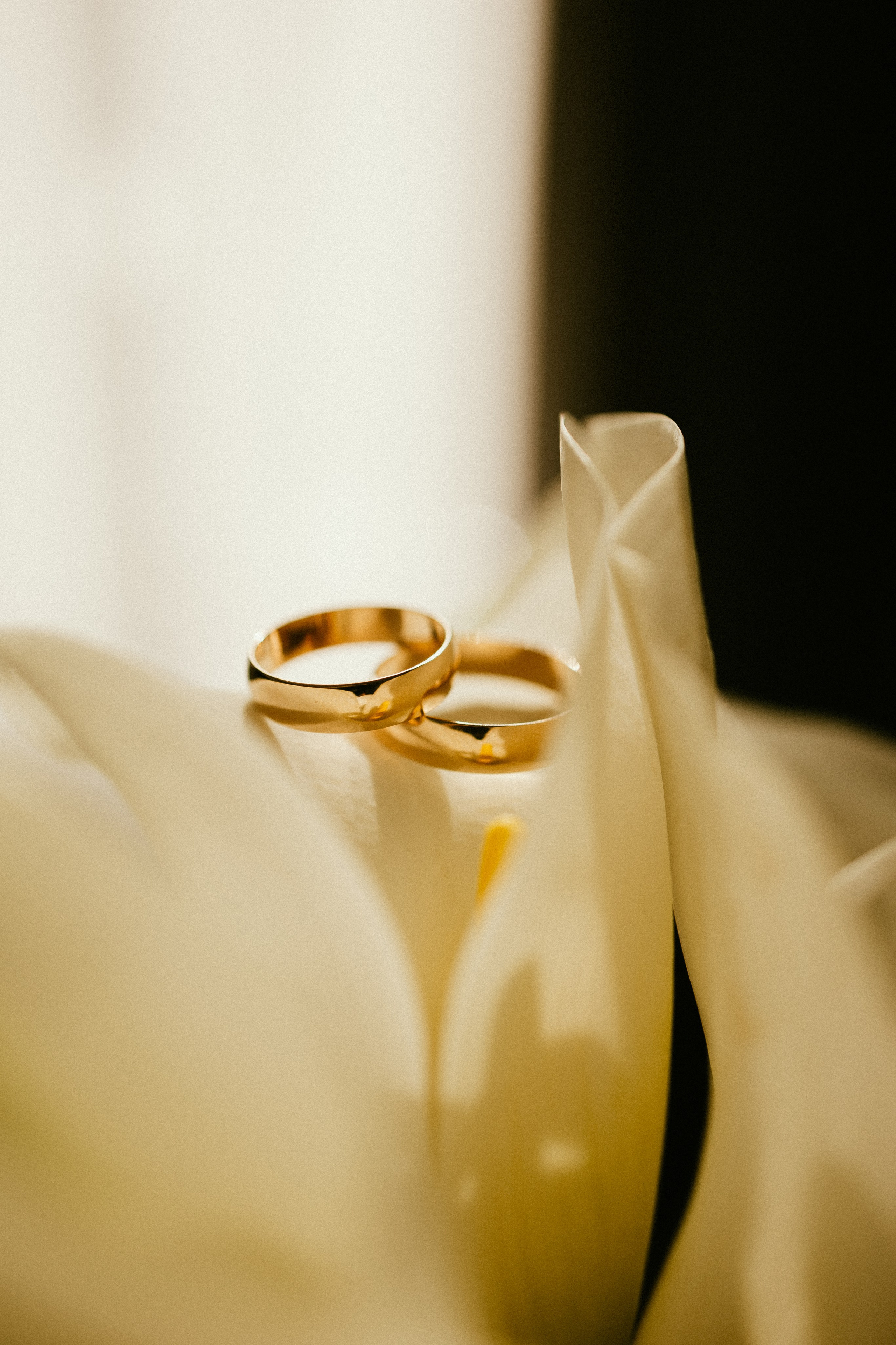 WITH LOVE. Фотограф Абронина Любовь | Москва