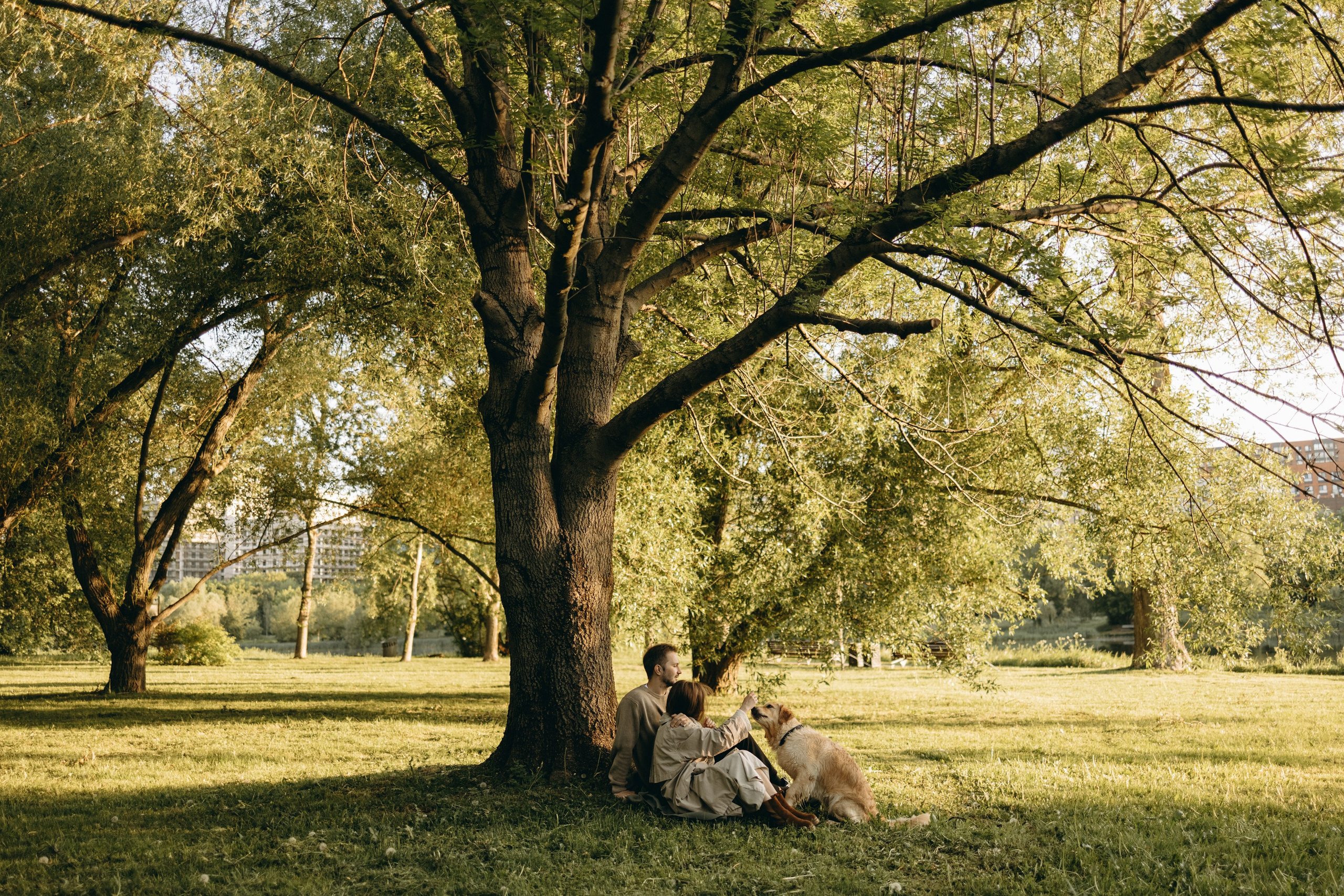 Пенни и ребята. Фотограф — Анималист | Санкт-Петербург