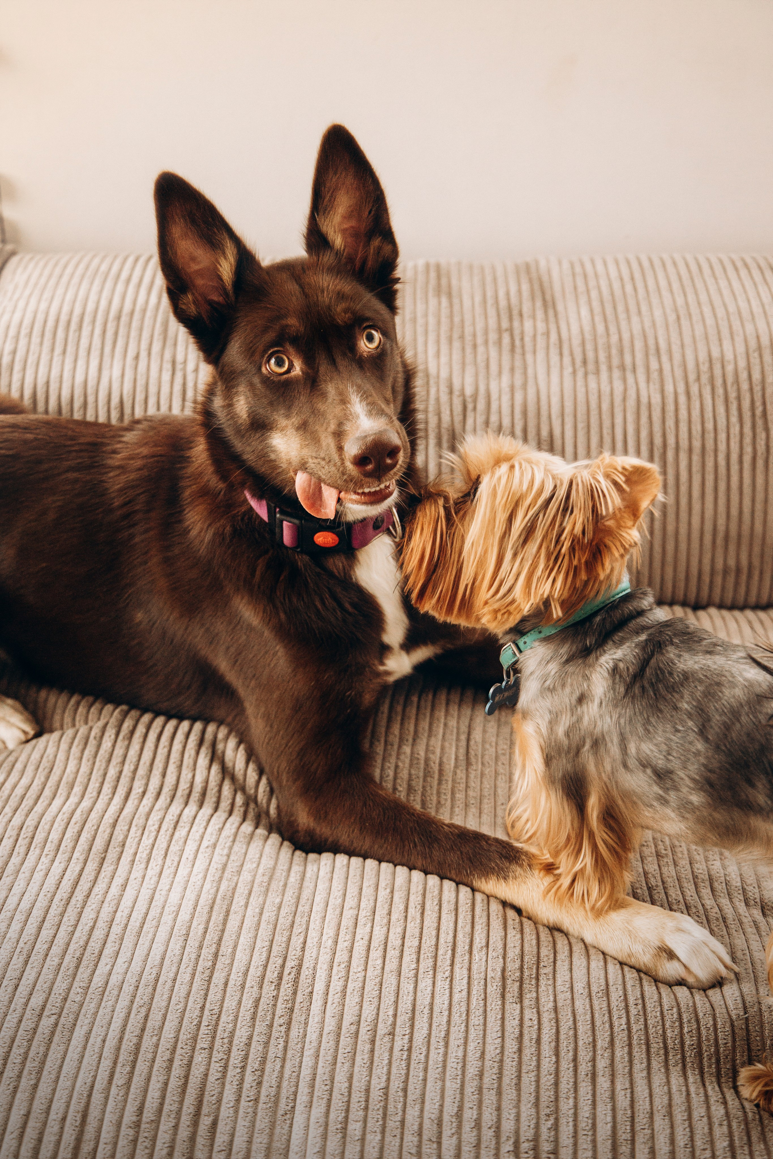 Аня и ее семья. Фотограф — Анималист | Санкт-Петербург