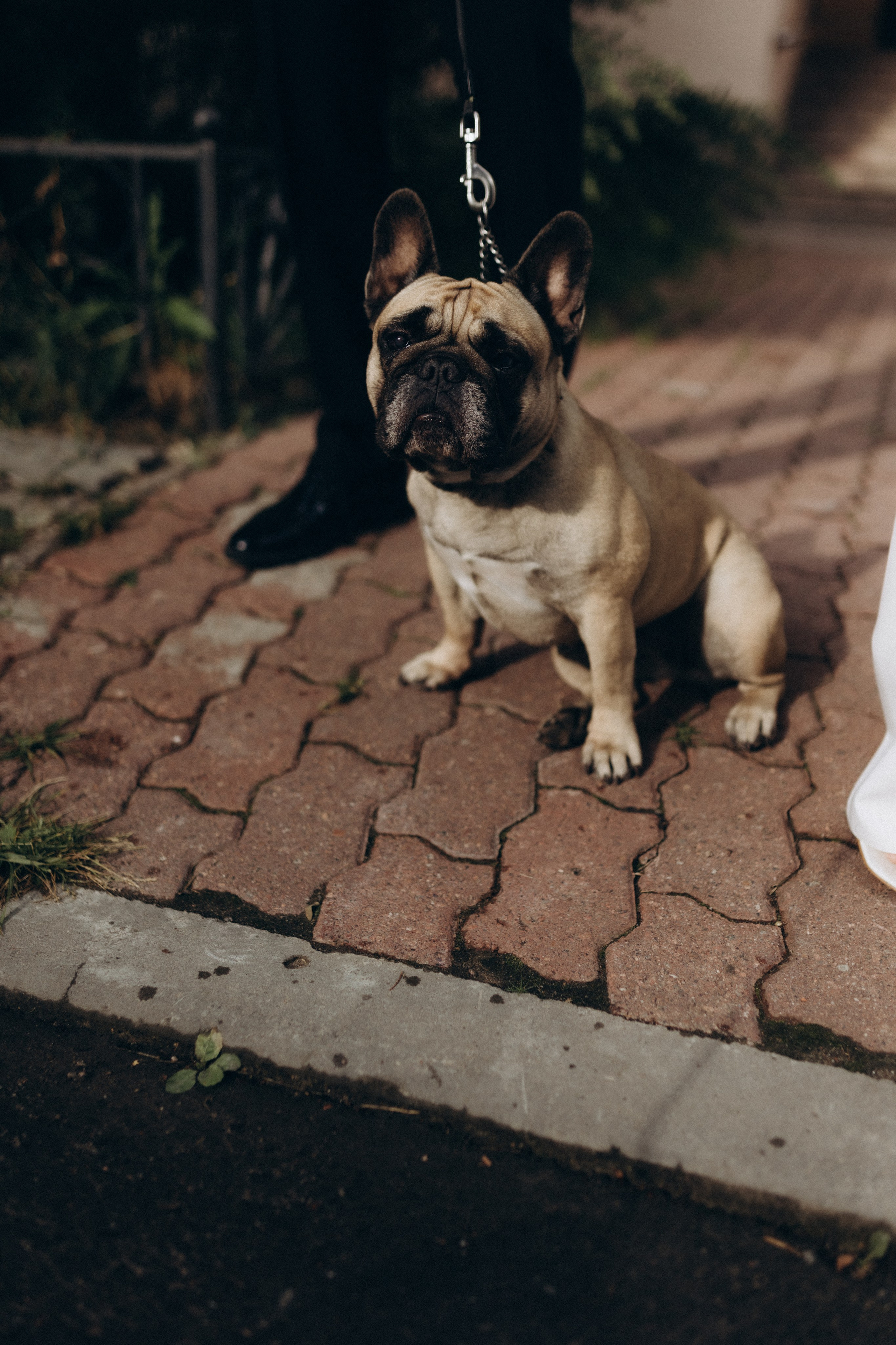 Лиза и Влад. Фотограф из Петербурга