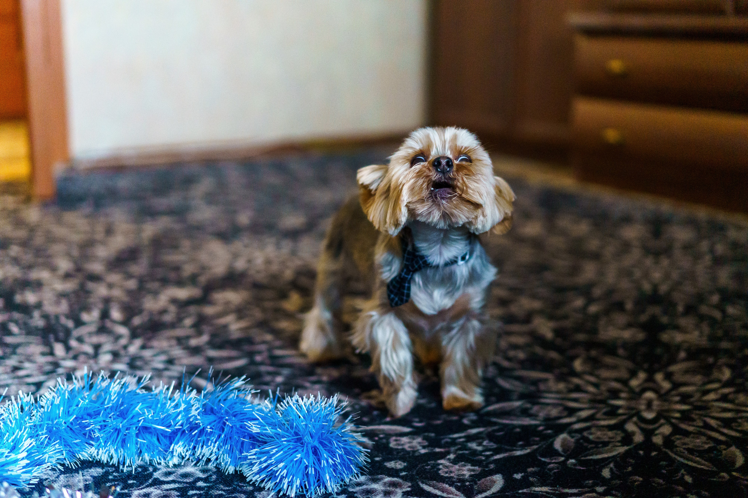 Праздник к нам пришёл!. Фотограф Челябинск · Ольга Серебрякова