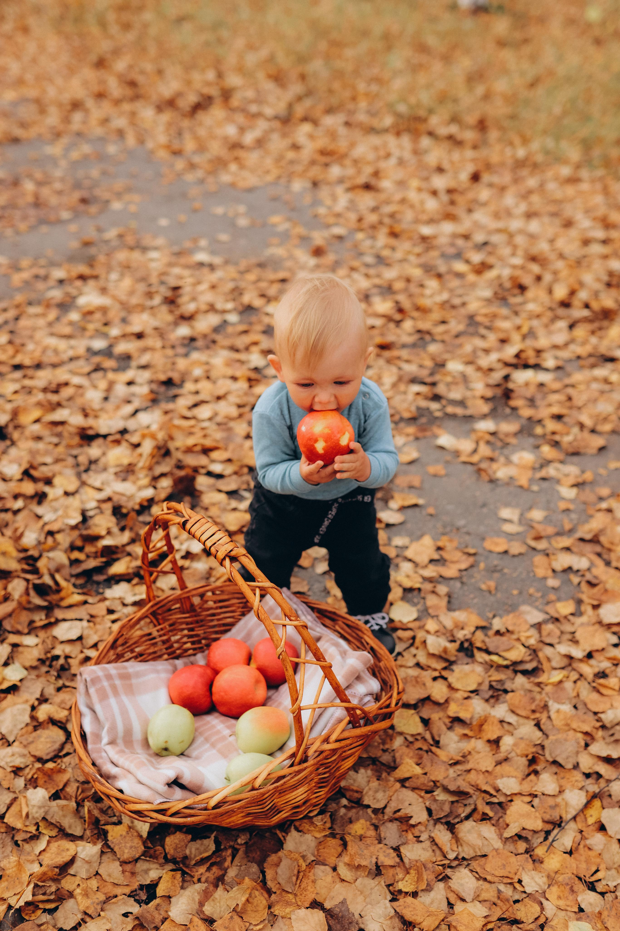 Коля, Юля и Тимоша. Семейный и детский фотограф город Тында Дарья