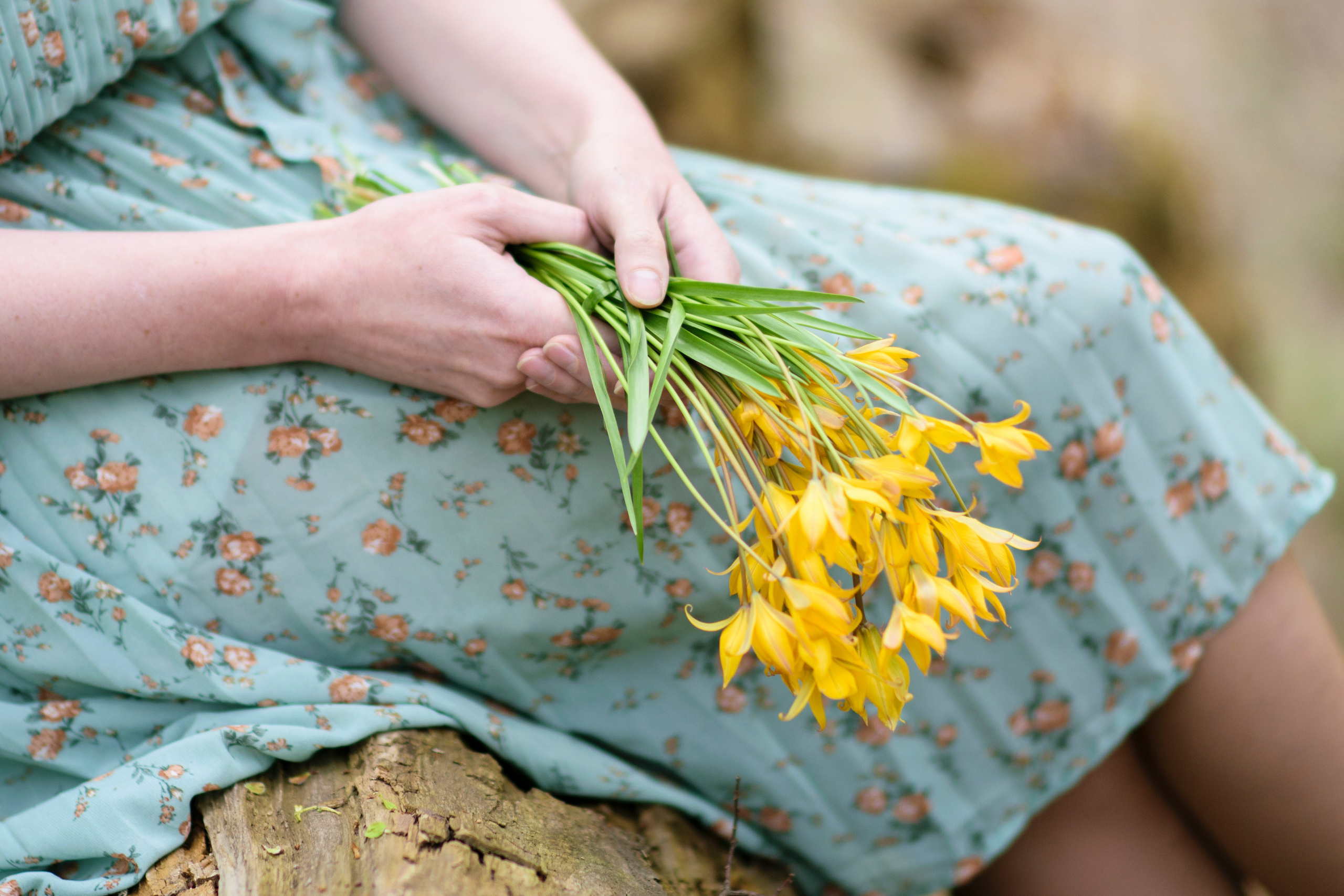 женские руки держащие букет лесных тюльпанов,