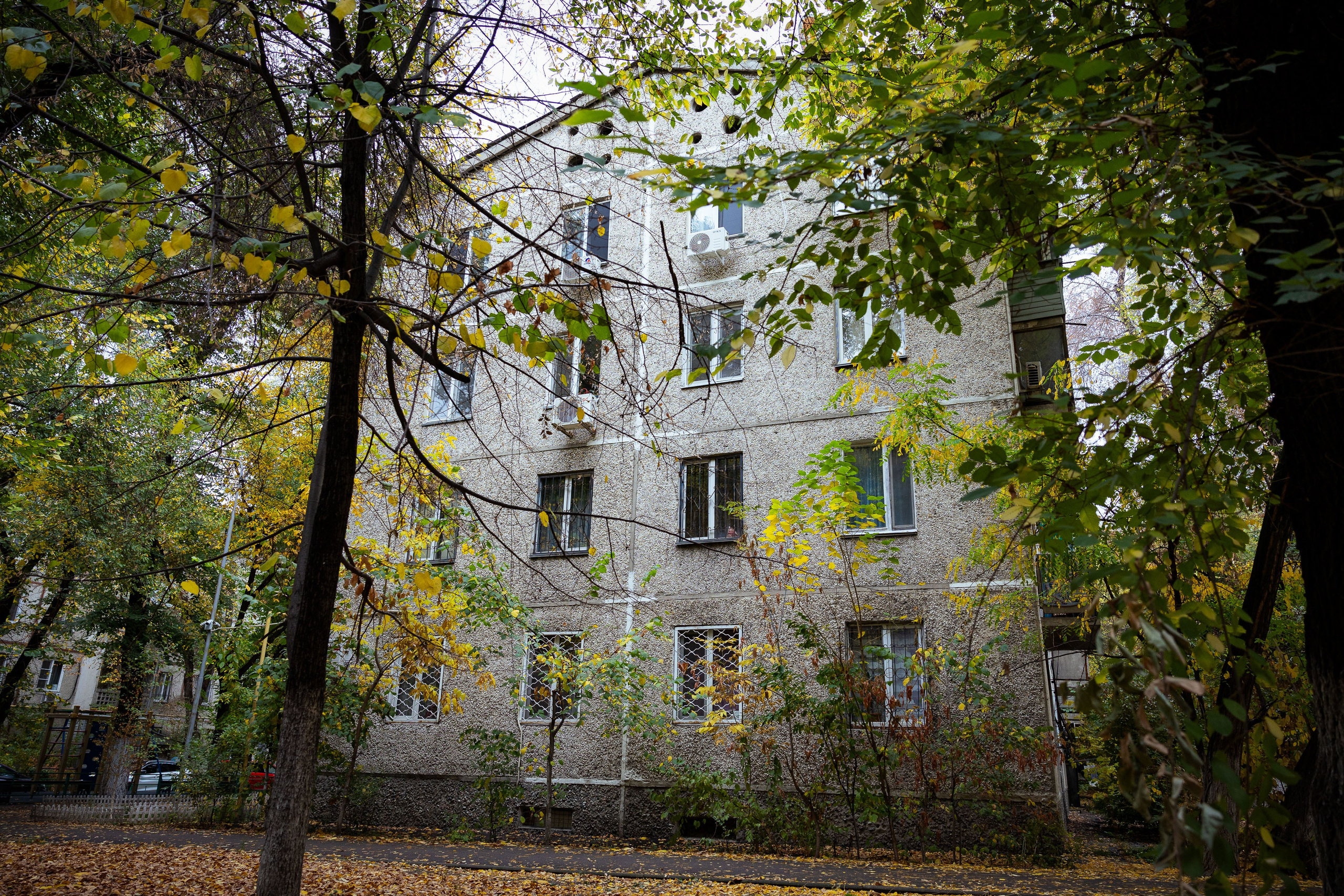 Казахстан (осень 2024). Фотограф Виноградов Константин