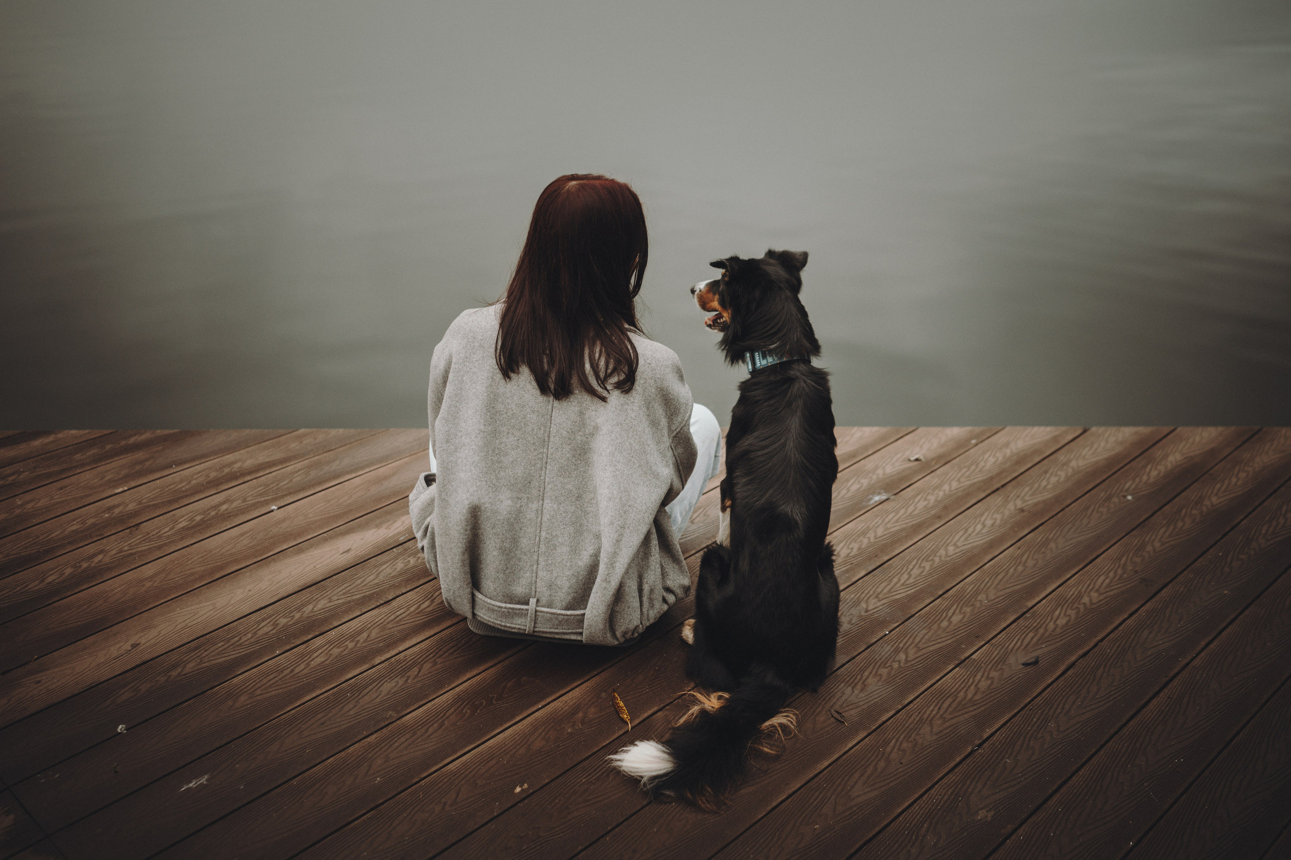 Аня, Оскар и Яр. Семейный фотограф анималист Ананьева Мария — Москва