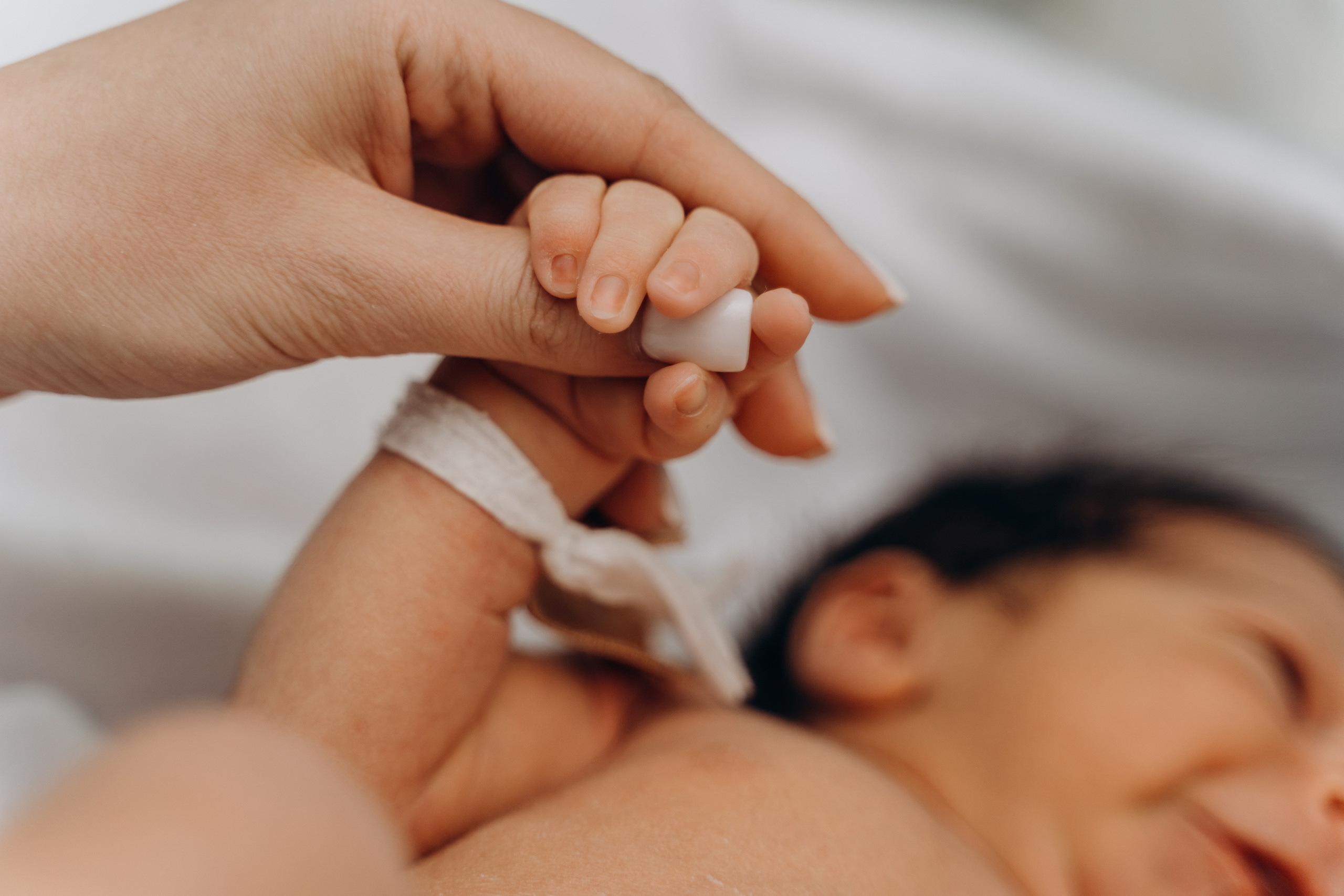 Выписка Альбертика. Фотограф Ларионова Надежда|Ставрополь