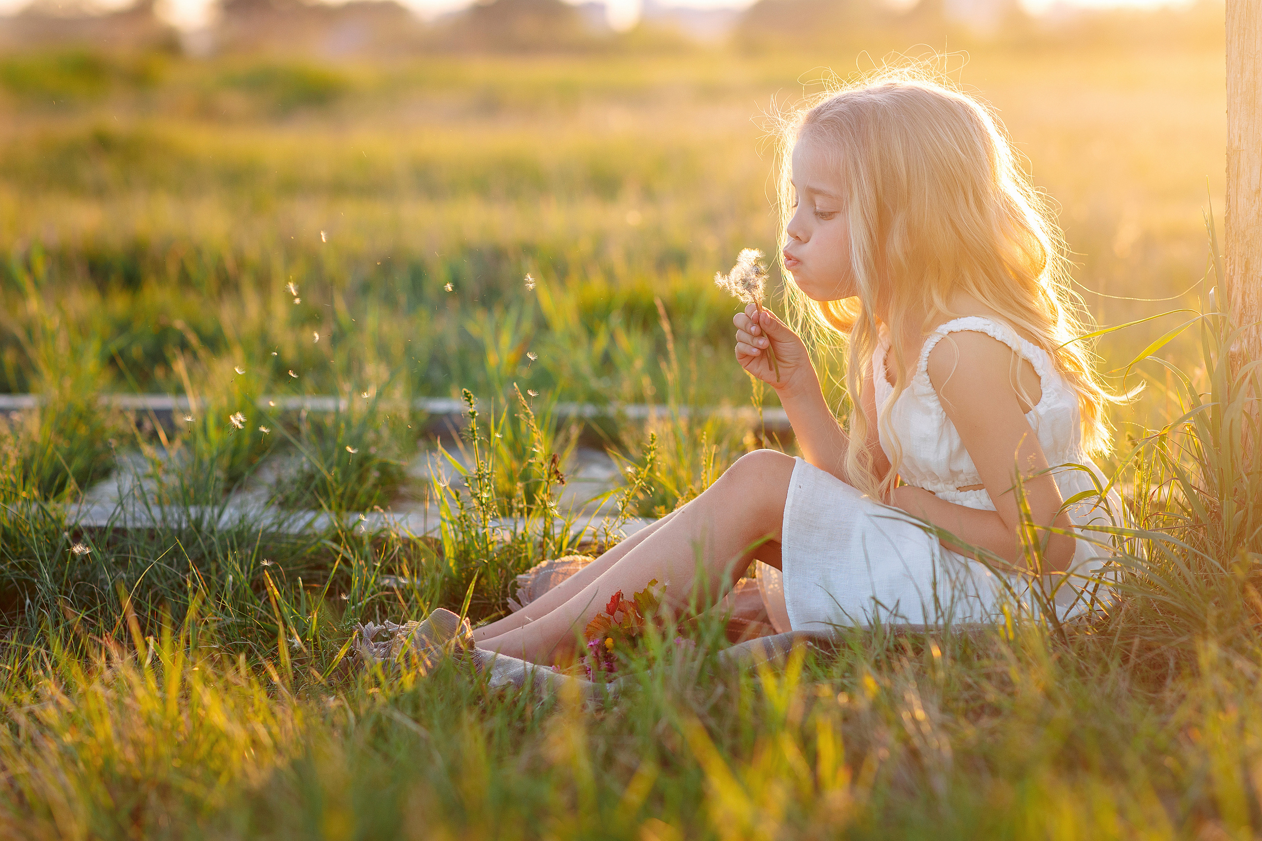 Летние фотосессии 2021. Семейный и детский фотограф в Пензе Анна Михайлова