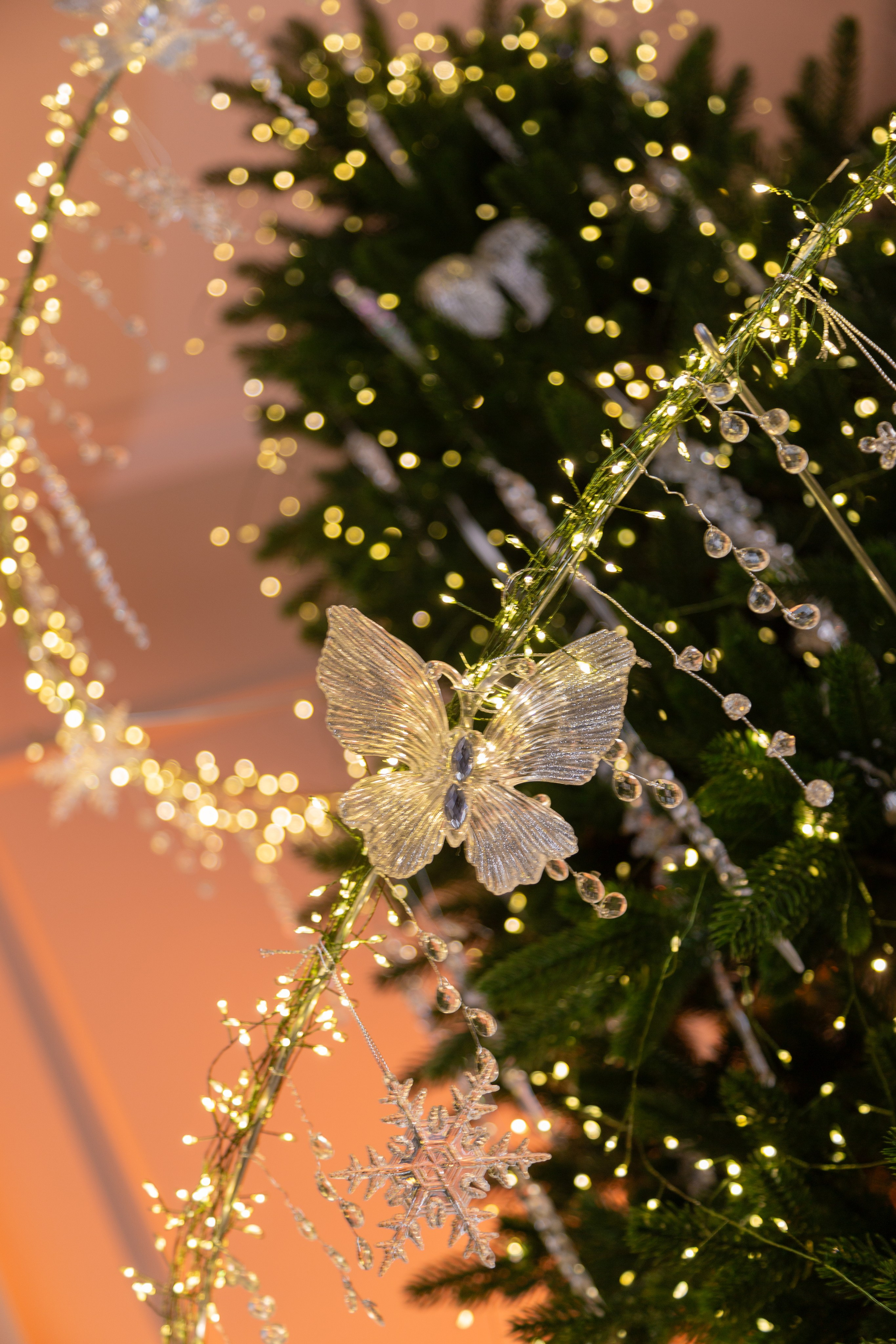 Белый Осел. Детский семейный фотограф Краснодар