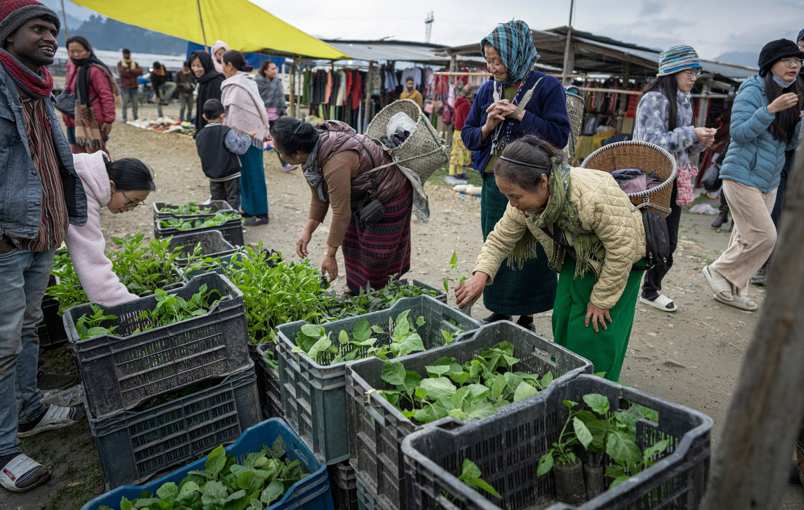India travel. Фотограф Сергей Танков