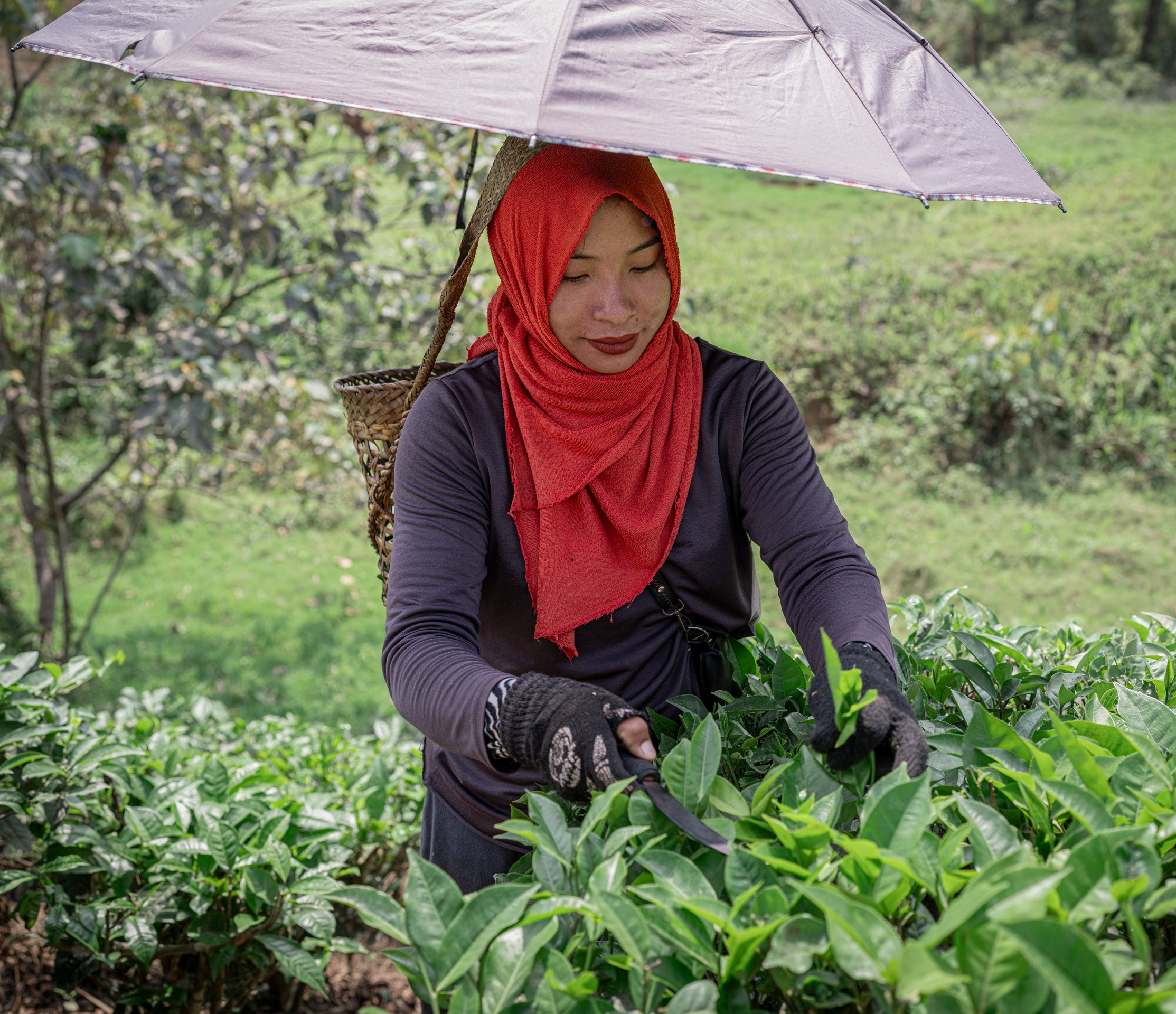 India travel. Фотограф Сергей Танков