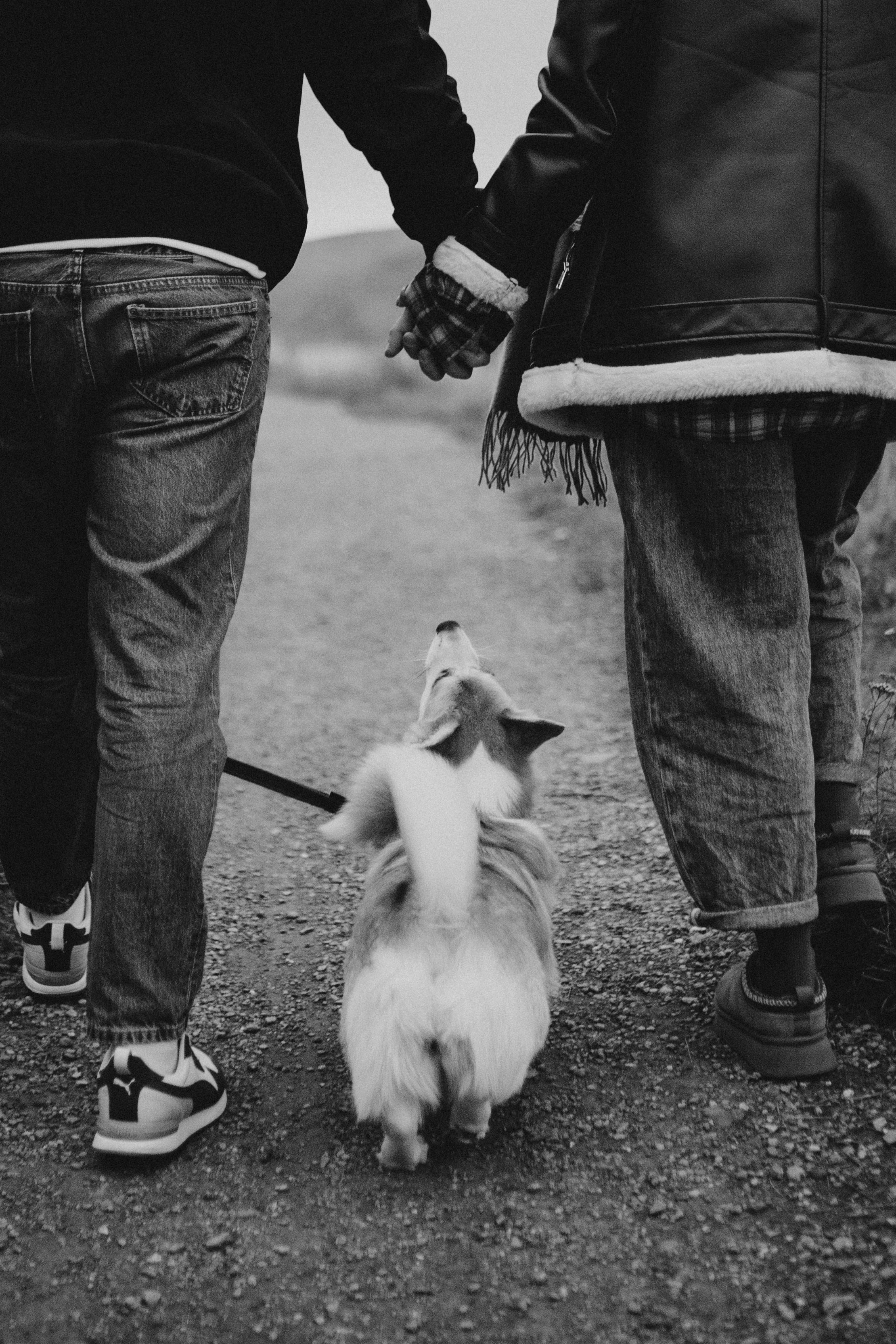 Настя, Никита и Мерси. Семейный и детский фотограф Красноярск Иркутск Денк Анна