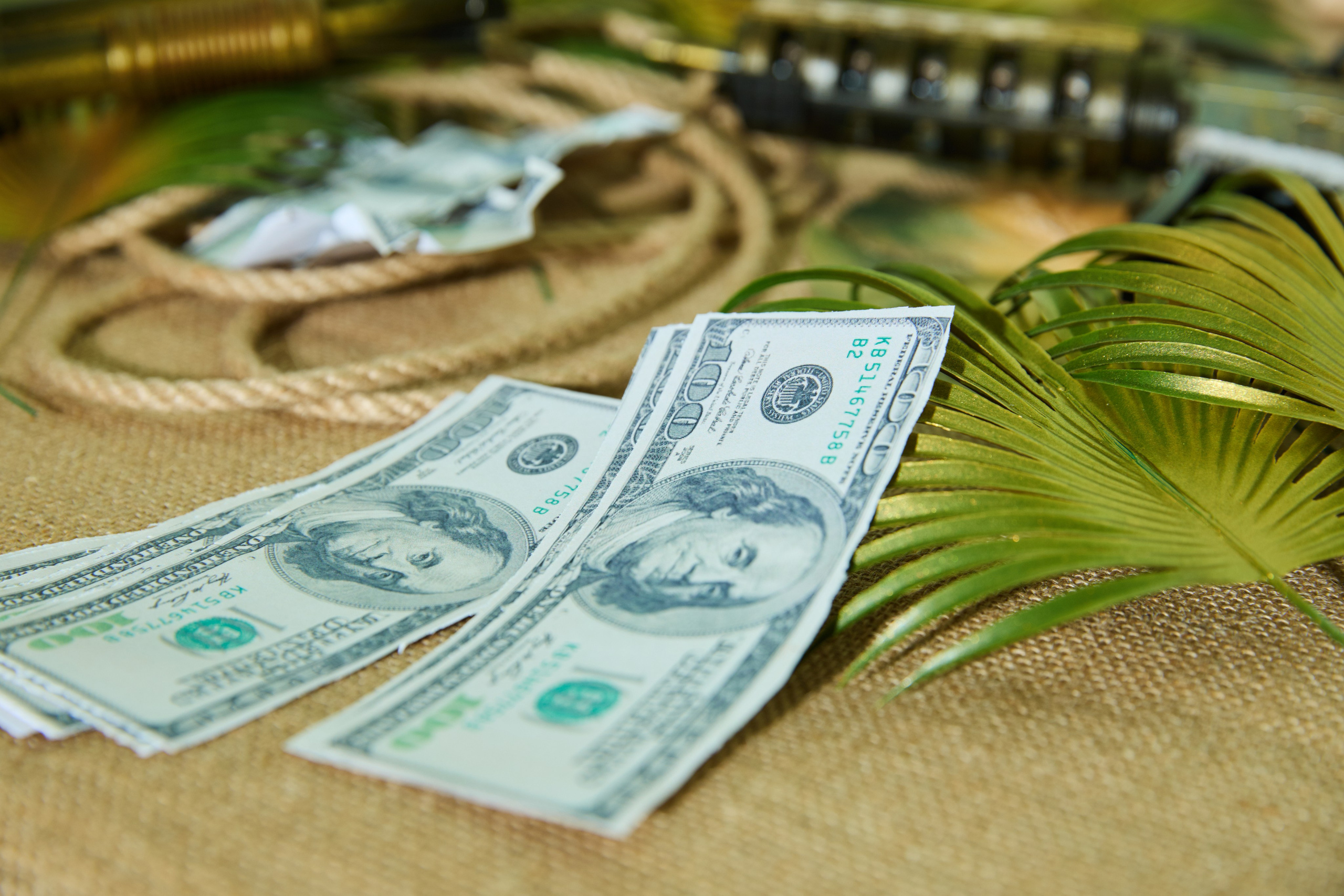 Юбилей на ранчо «Мустанг»