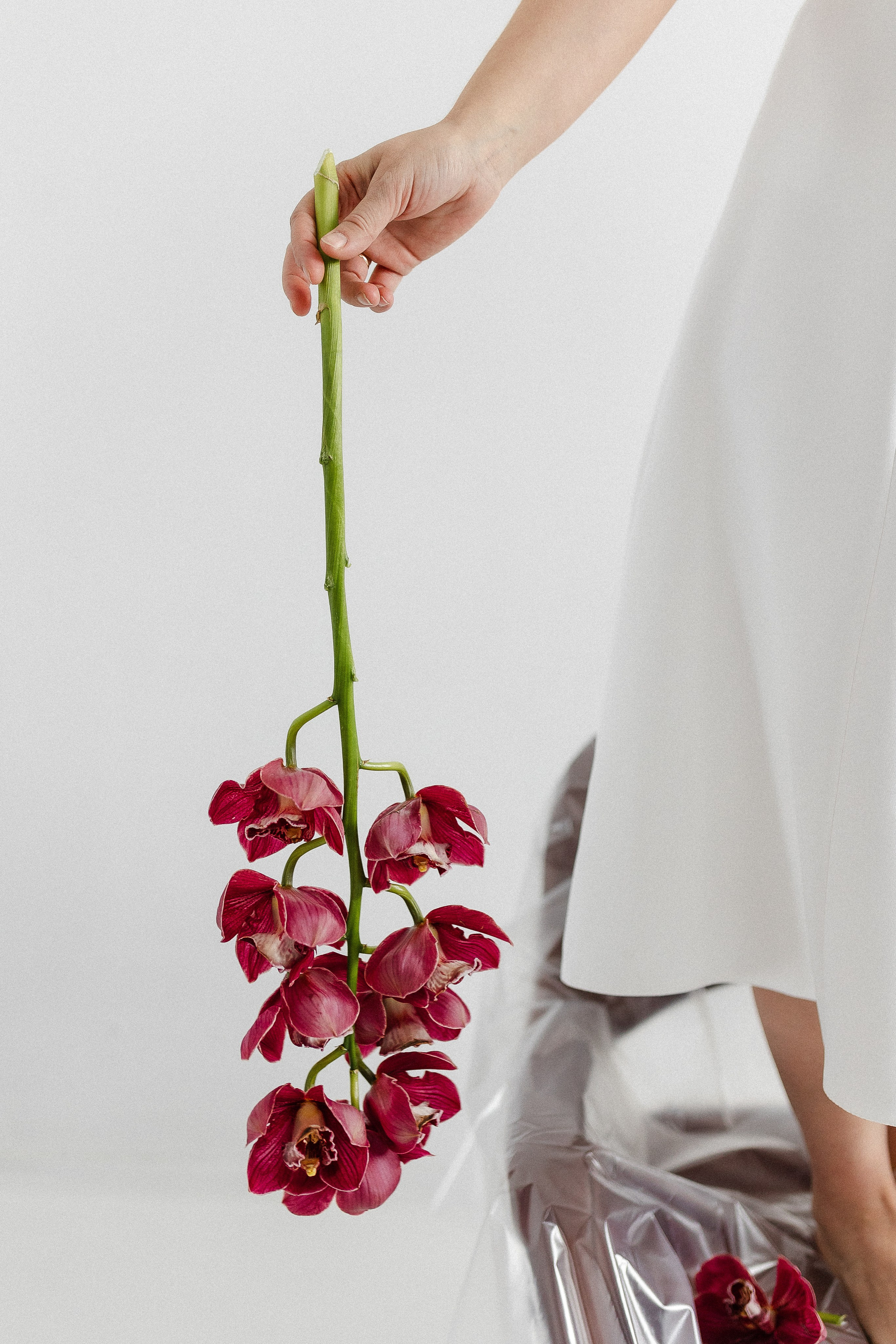 Для феи цветов. Семейный фотограф в Нижнем Новгороде Доронина Юлия