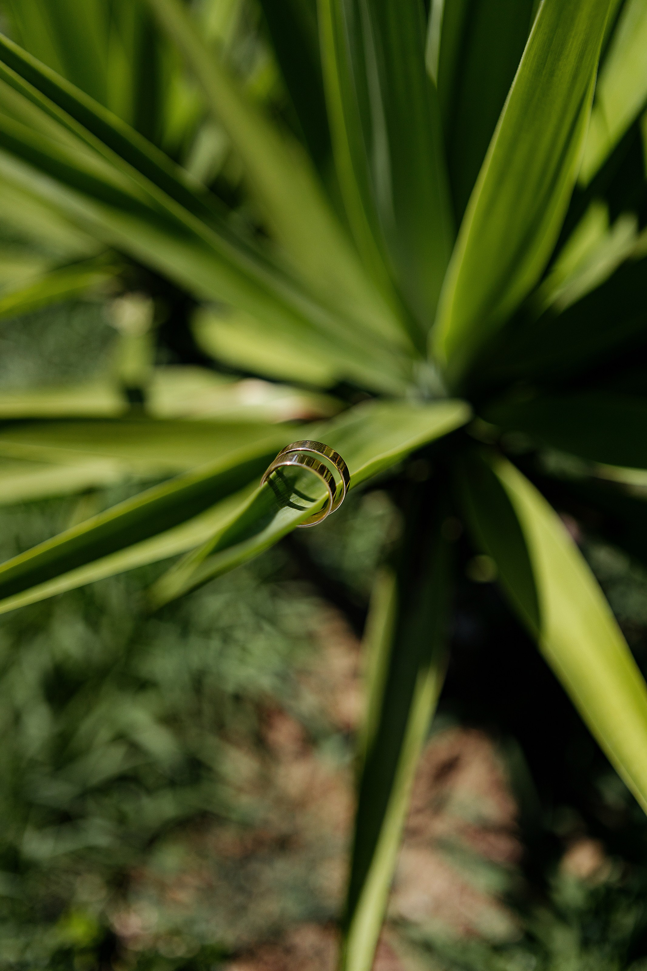 T&M. Фотограф в Батуми Павел Шарников